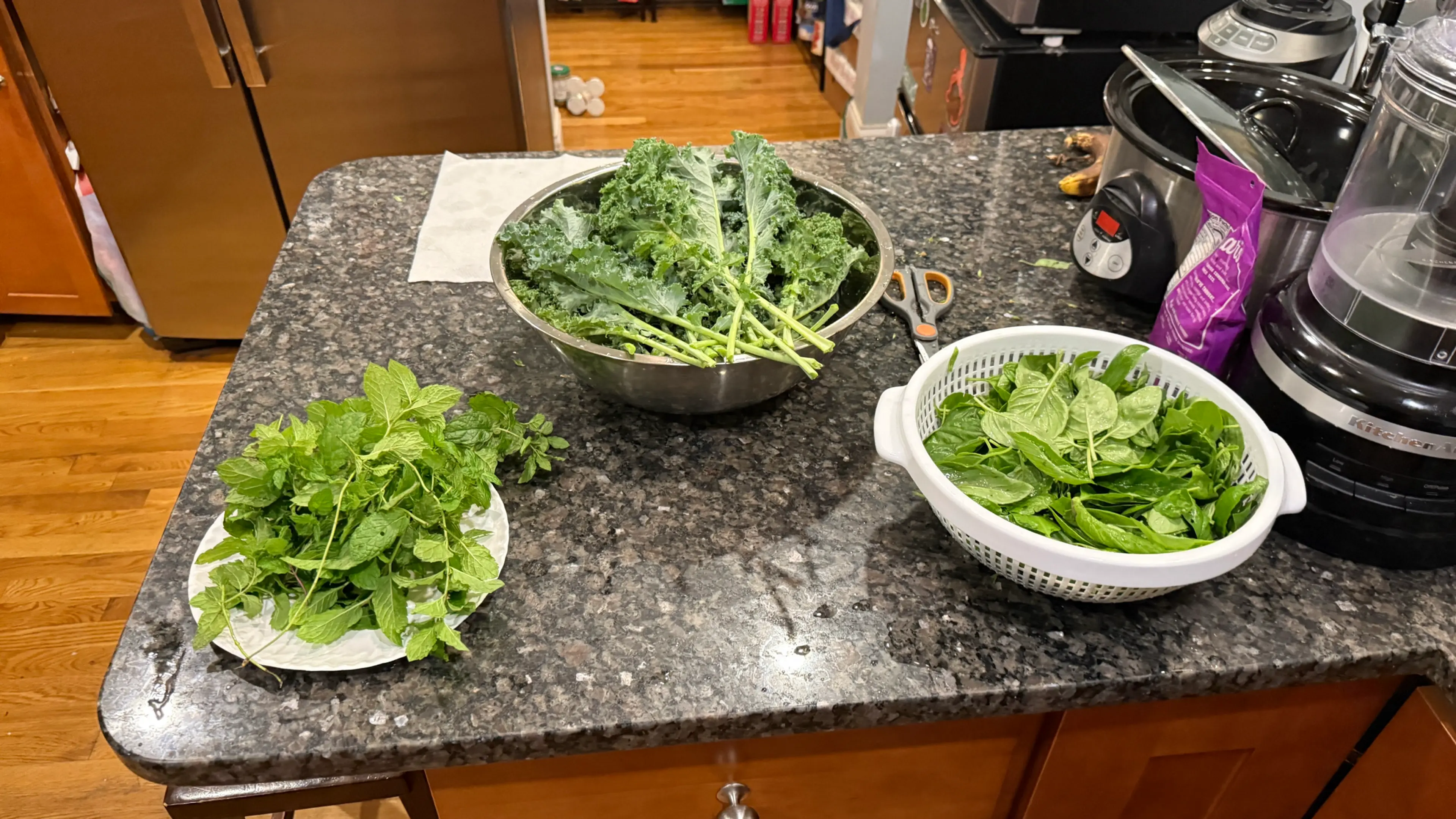 Kale Basil Pistachio Pesto