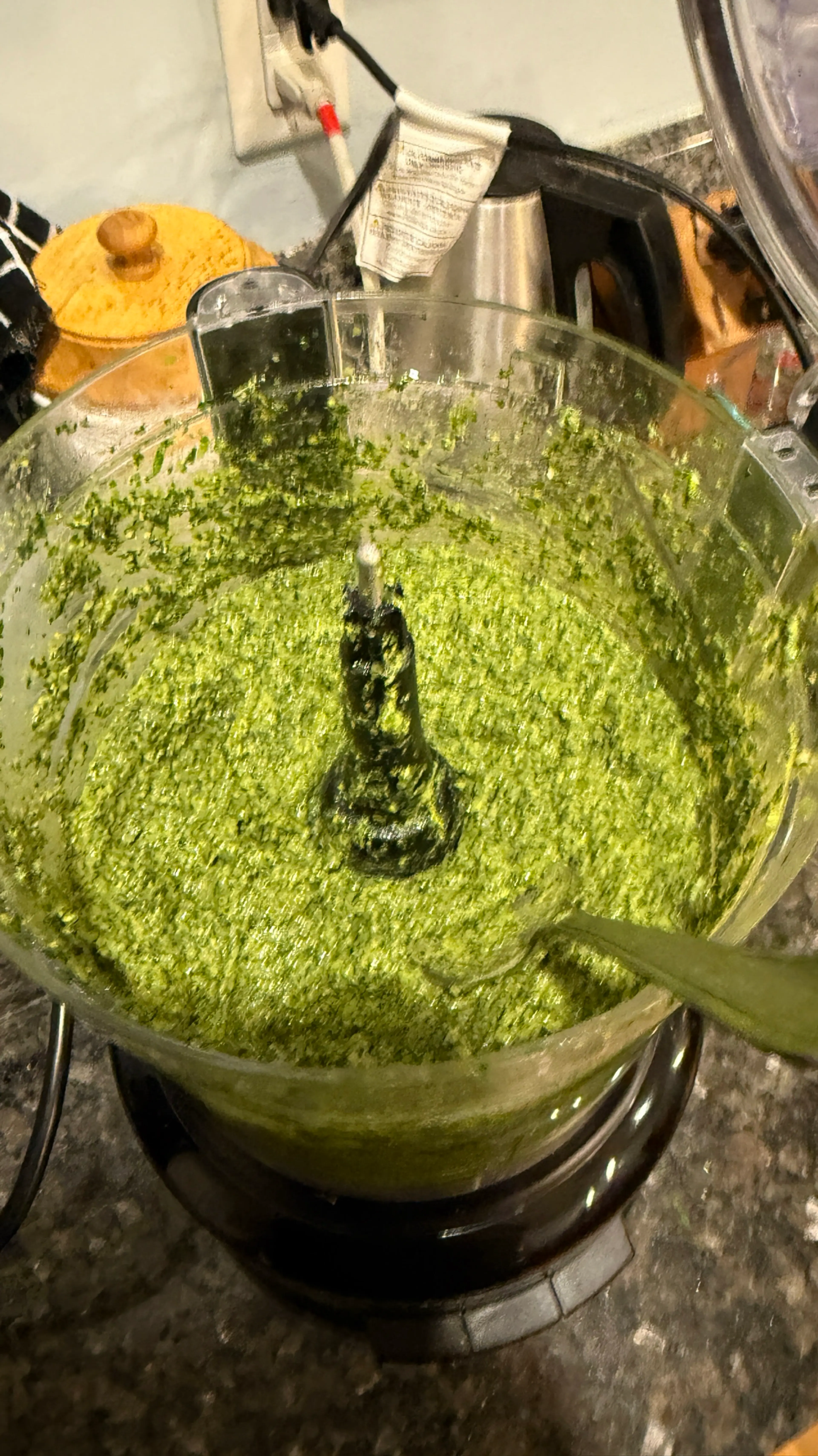 Kale Basil Pistachio Pesto