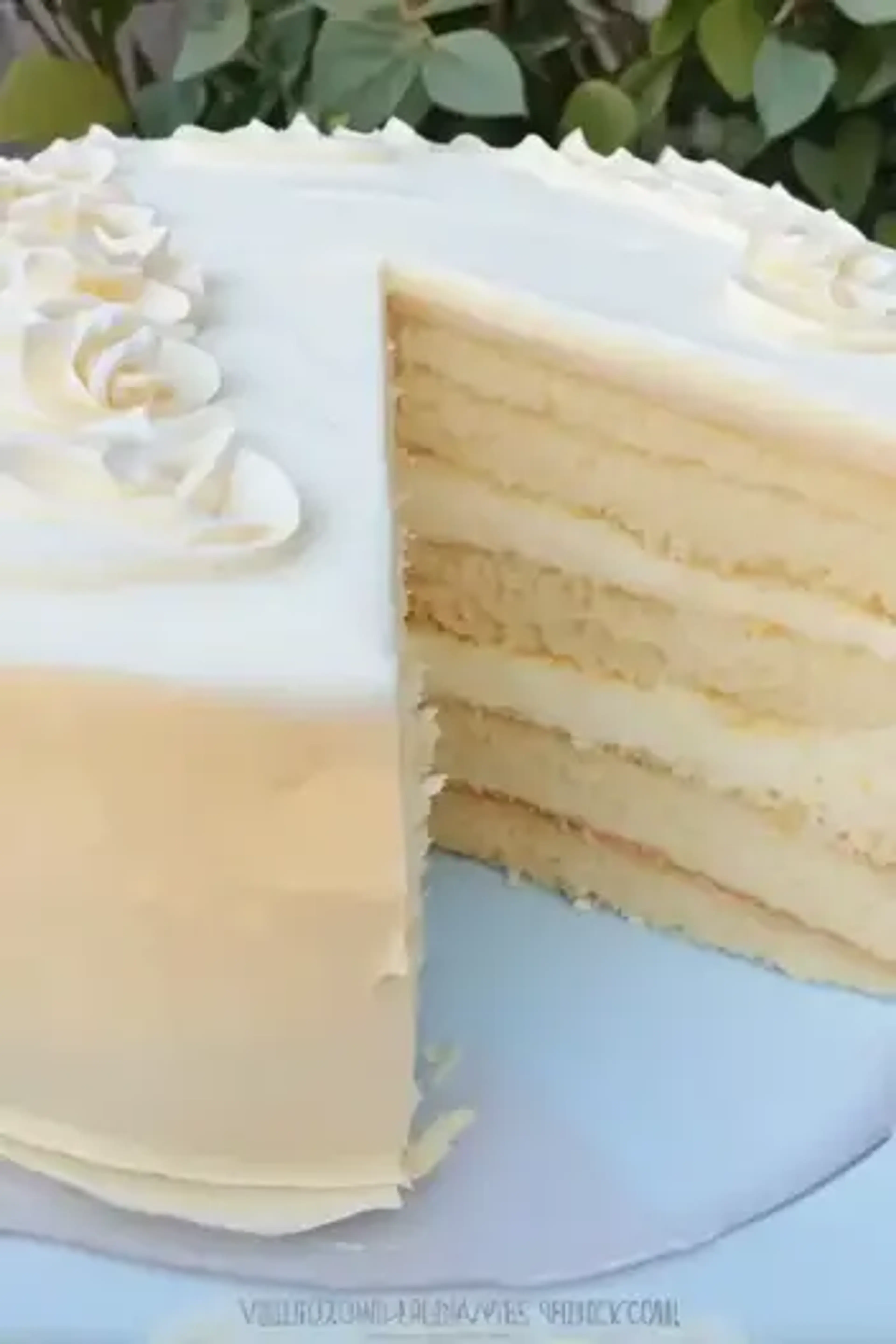 Vanilla Velvet Cake Recipe