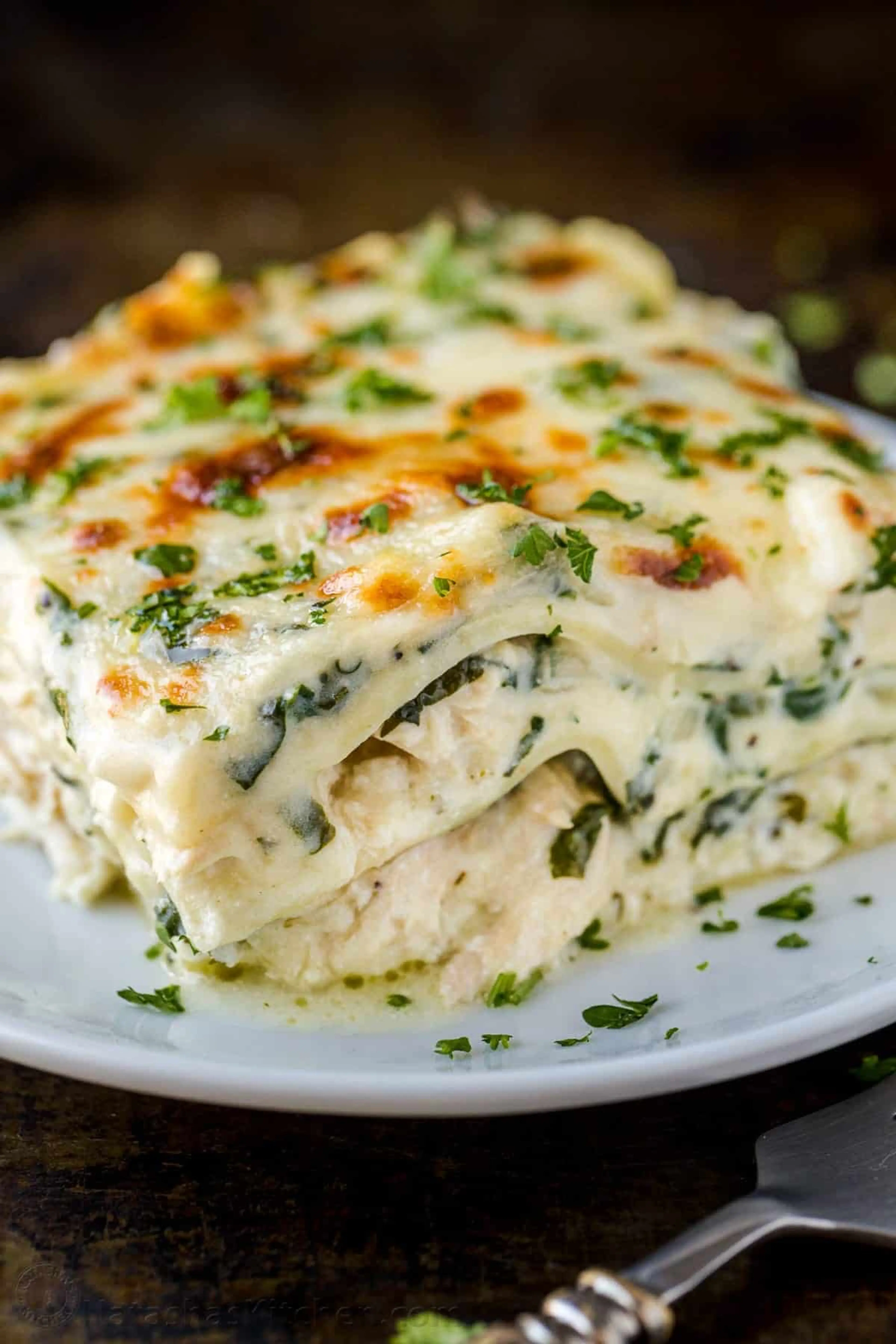Chicken Lasagna Recipe