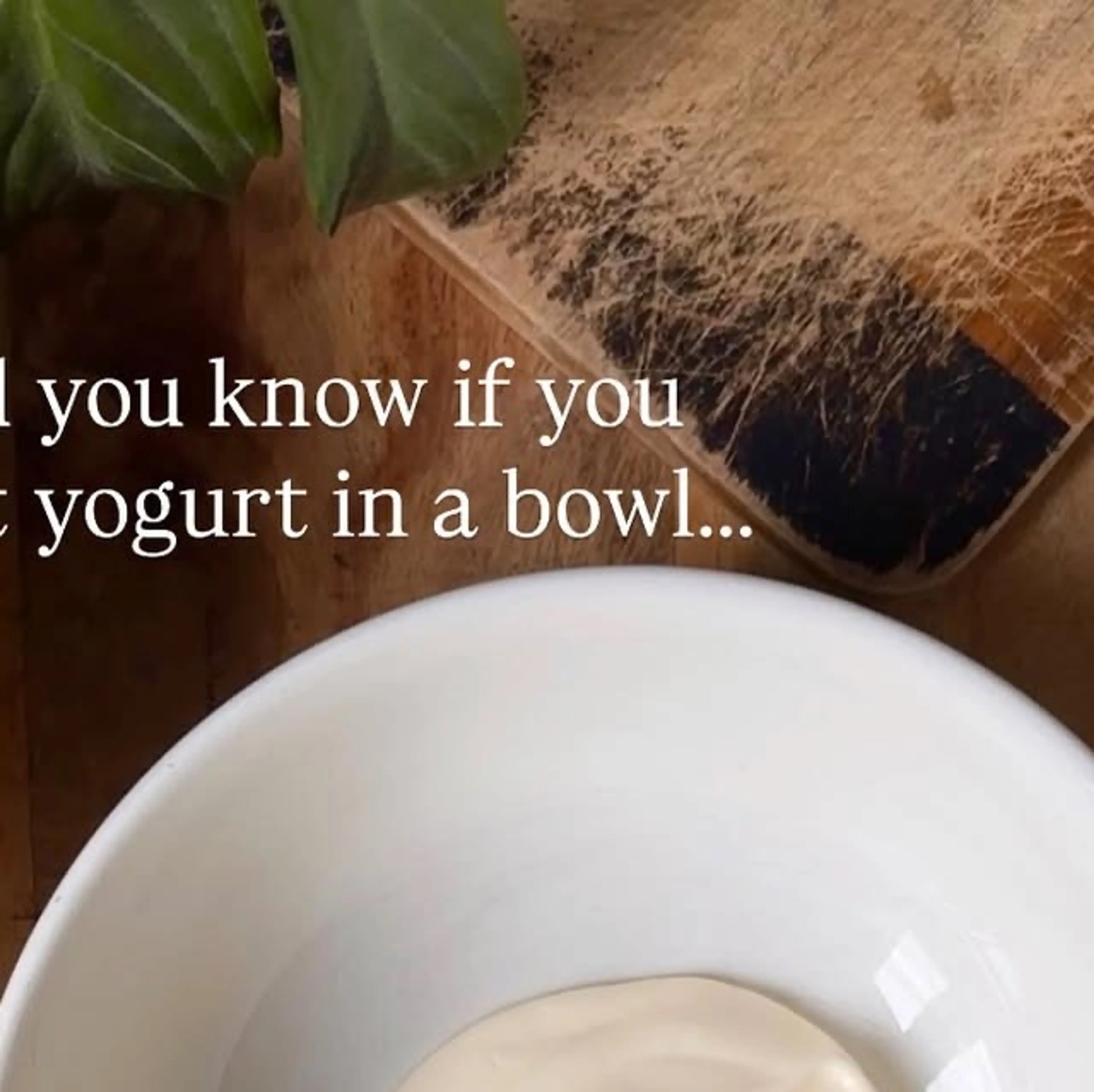 Healthy Breakfast Cheesecake