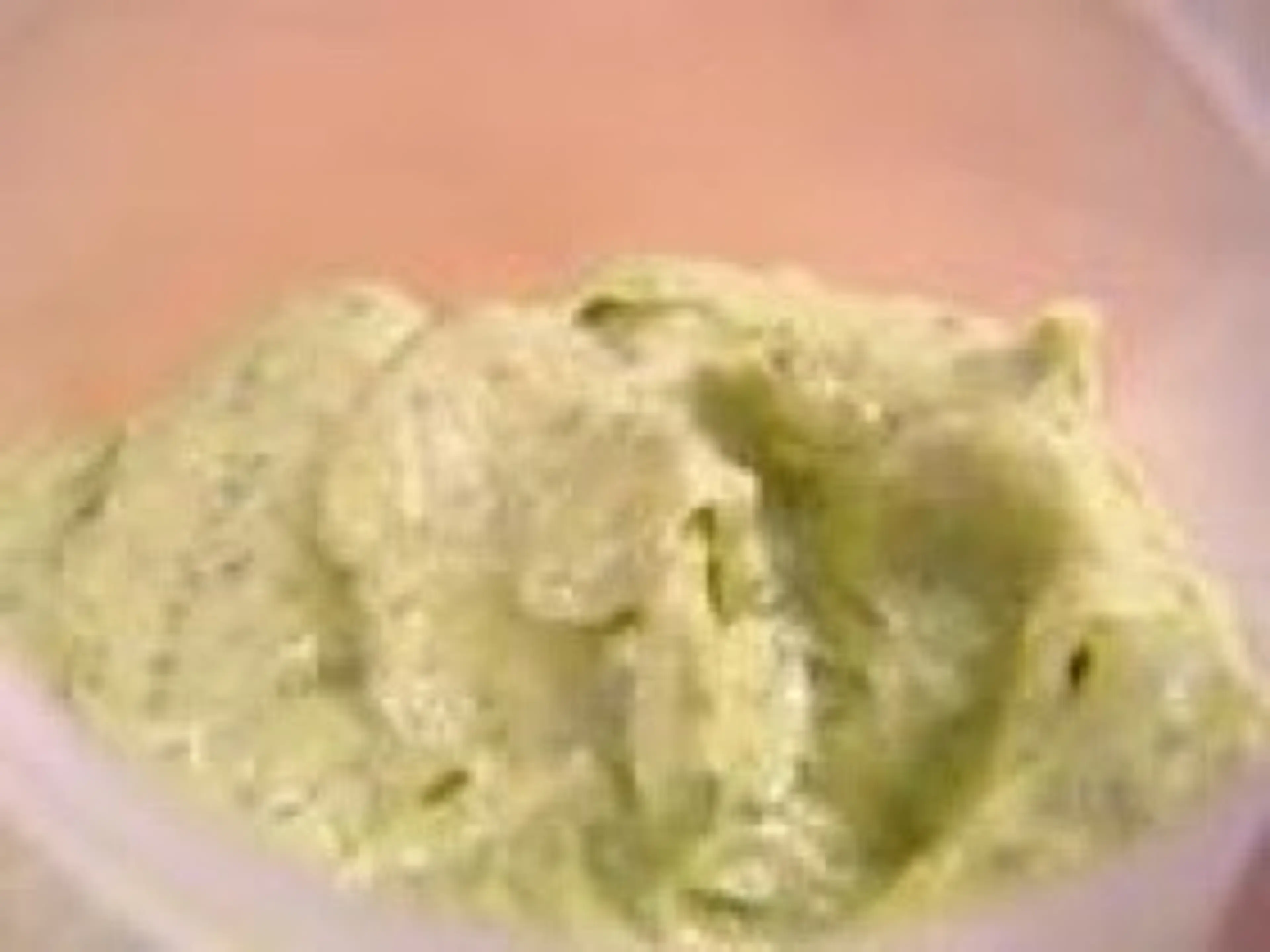 Basil Mayonnaise