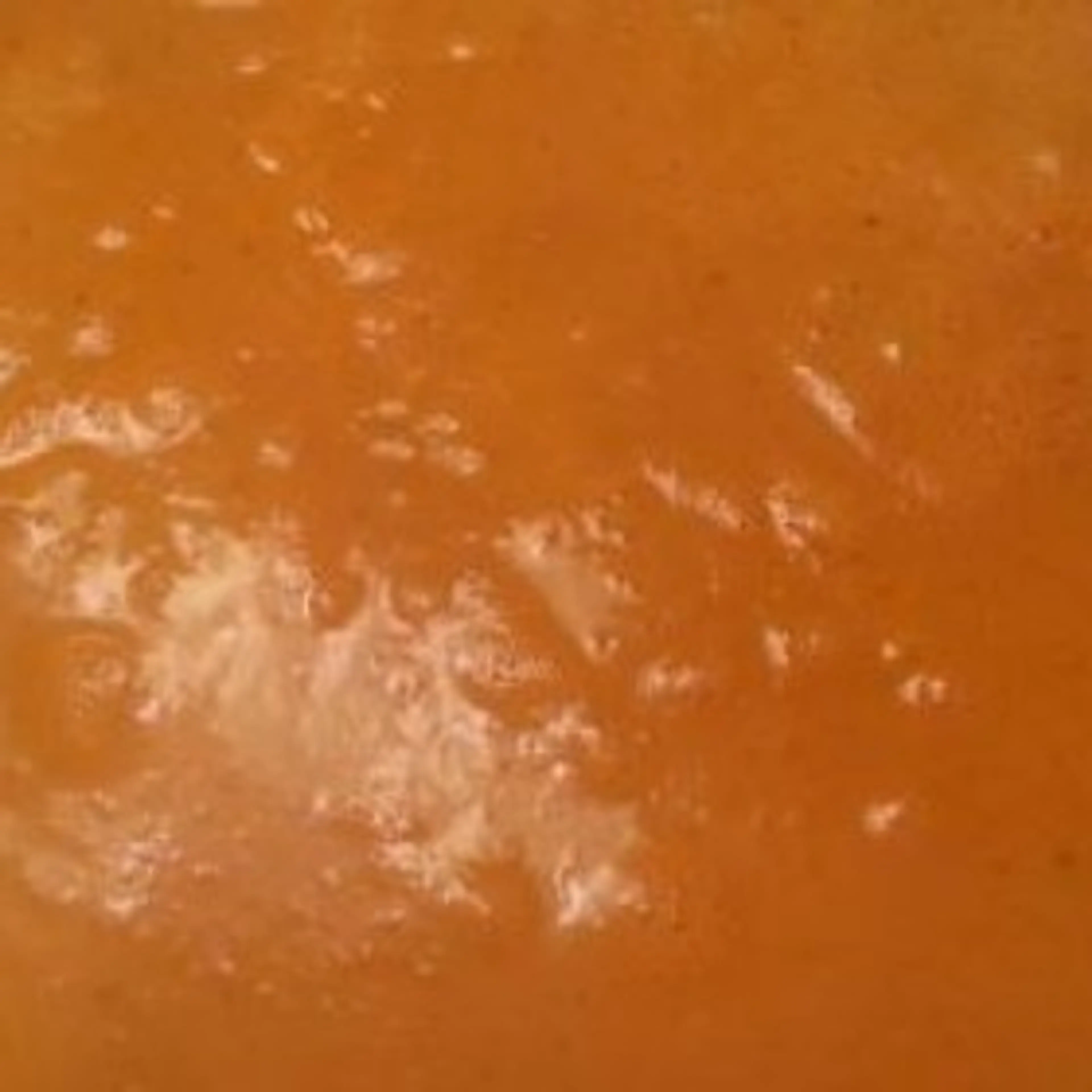 Tomato Basil Bisque