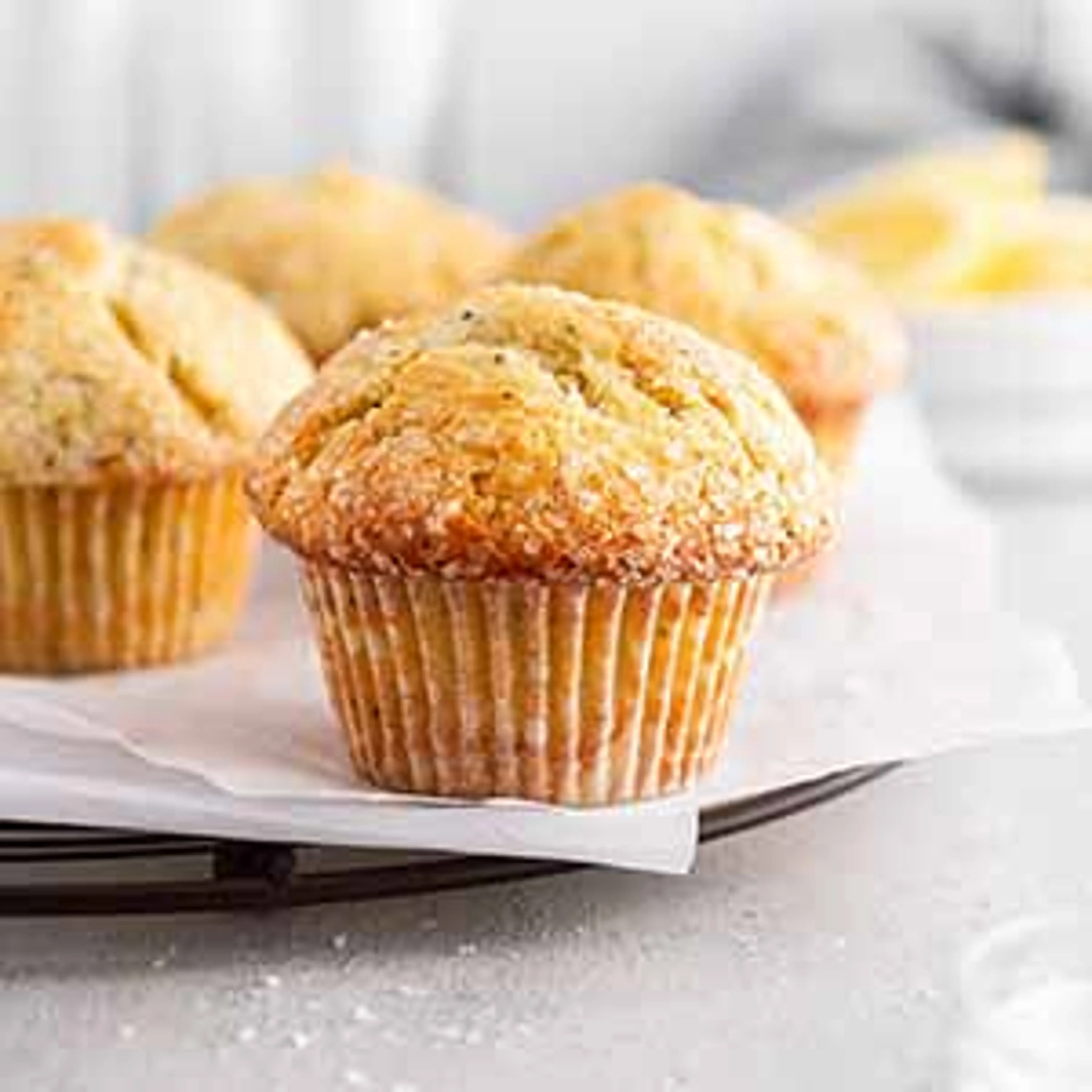 Lemon Poppy Seed Muffins