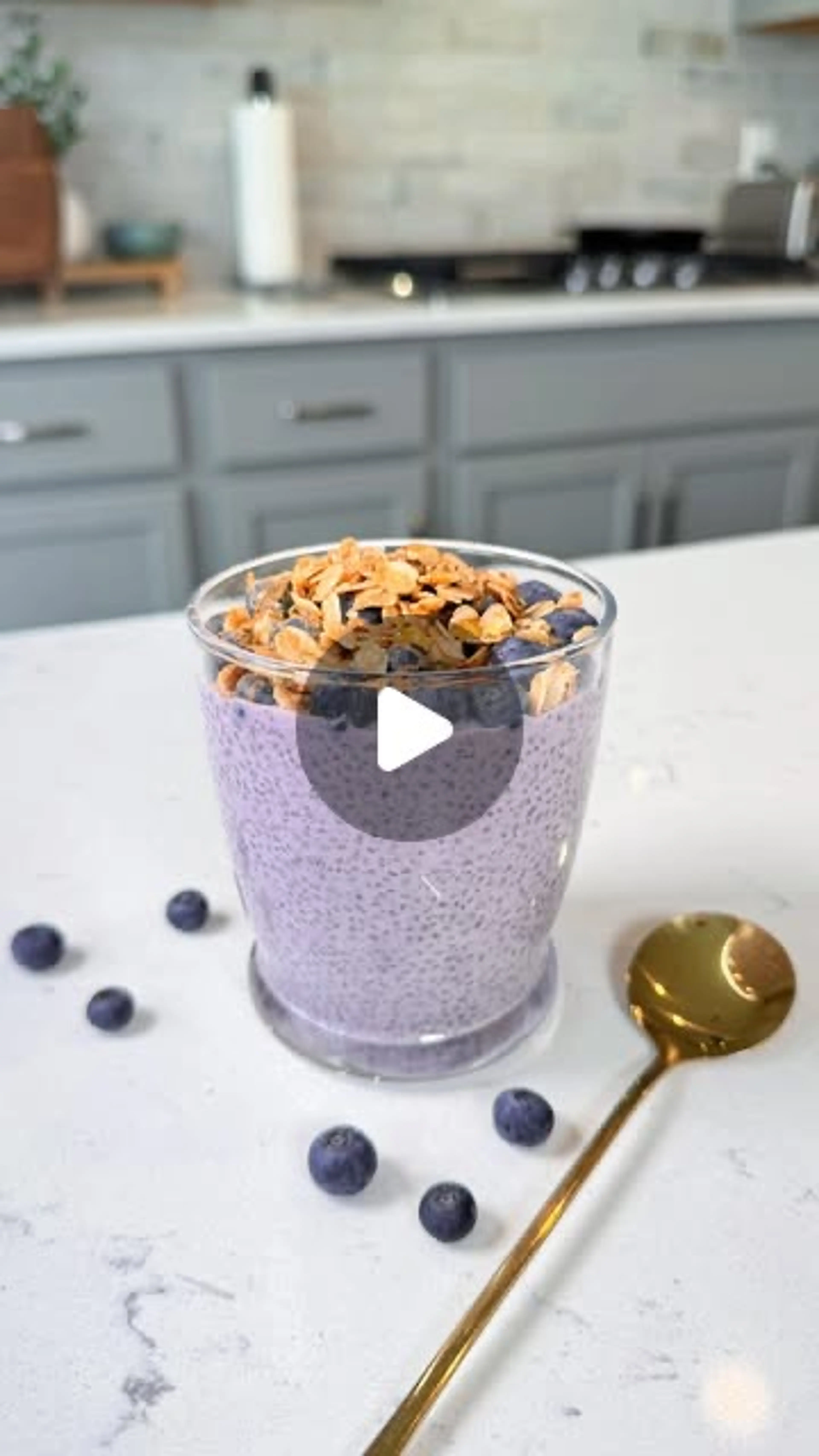 Instant Blueberry Chia Pudding with 50g of Protein