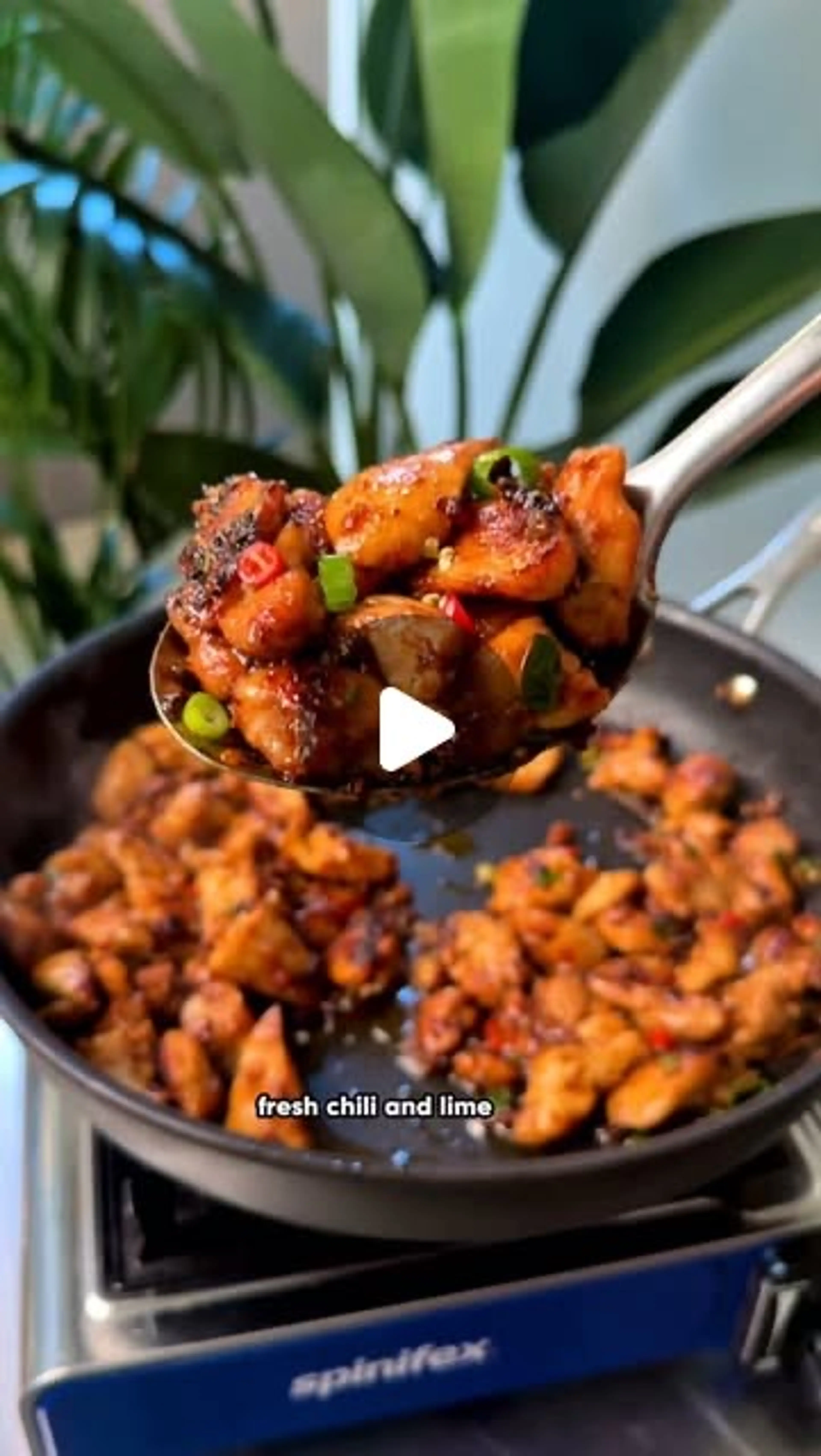 Lemongrass Chicken with a Shredded Carrot Salad
