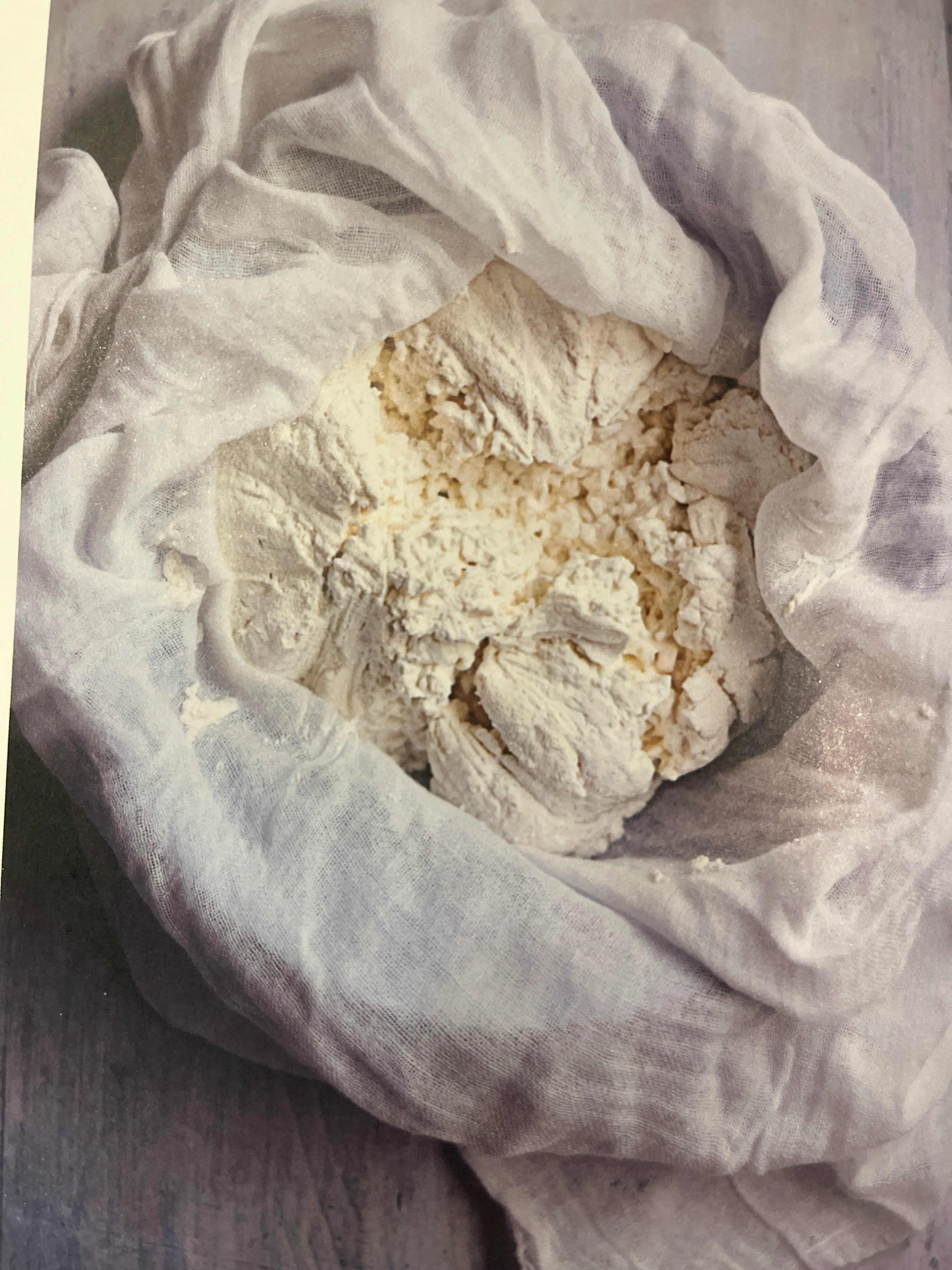 Tvorog (Farmer Cheese)