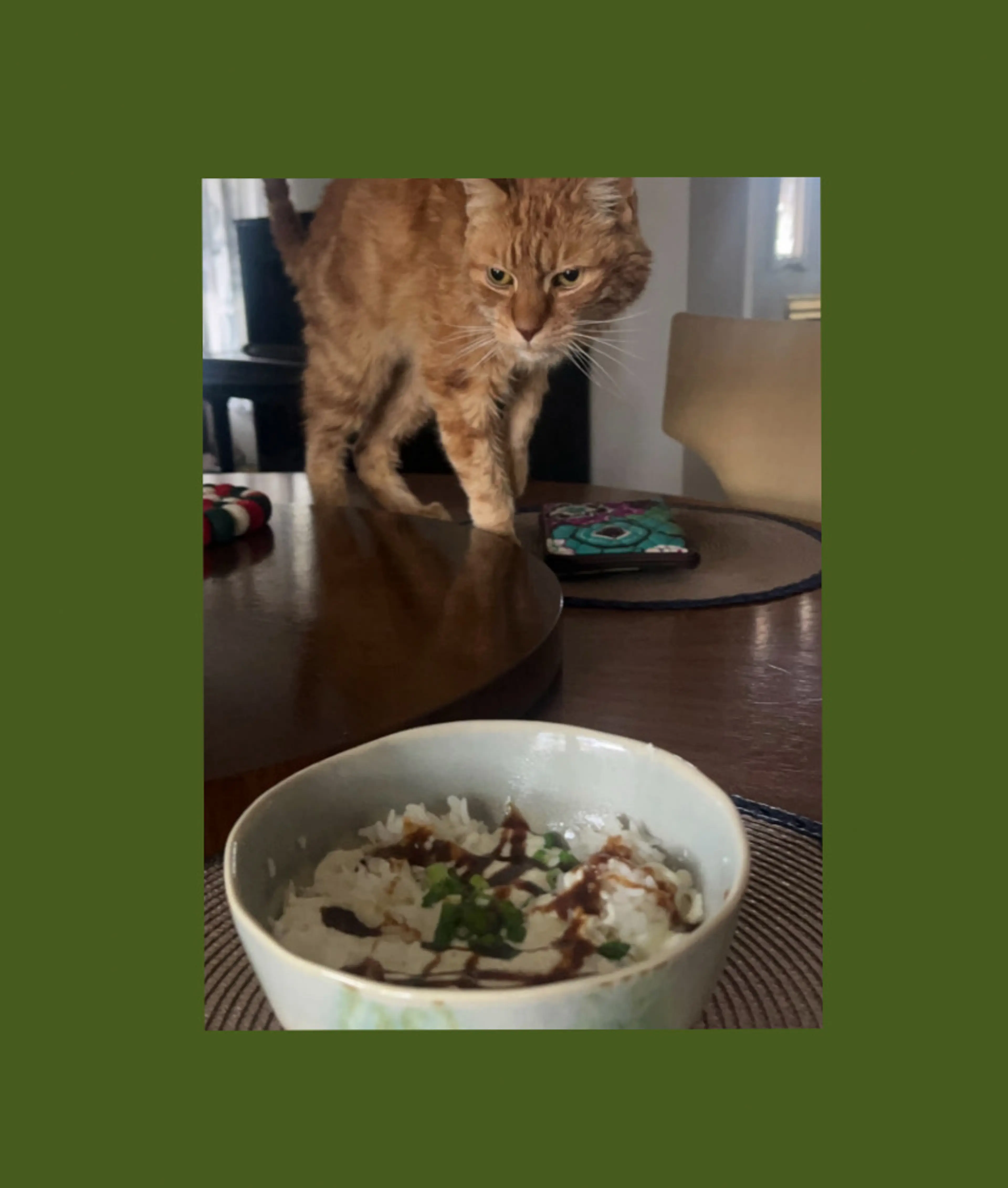 Kio’s “Girl Dinner” Rice Goop