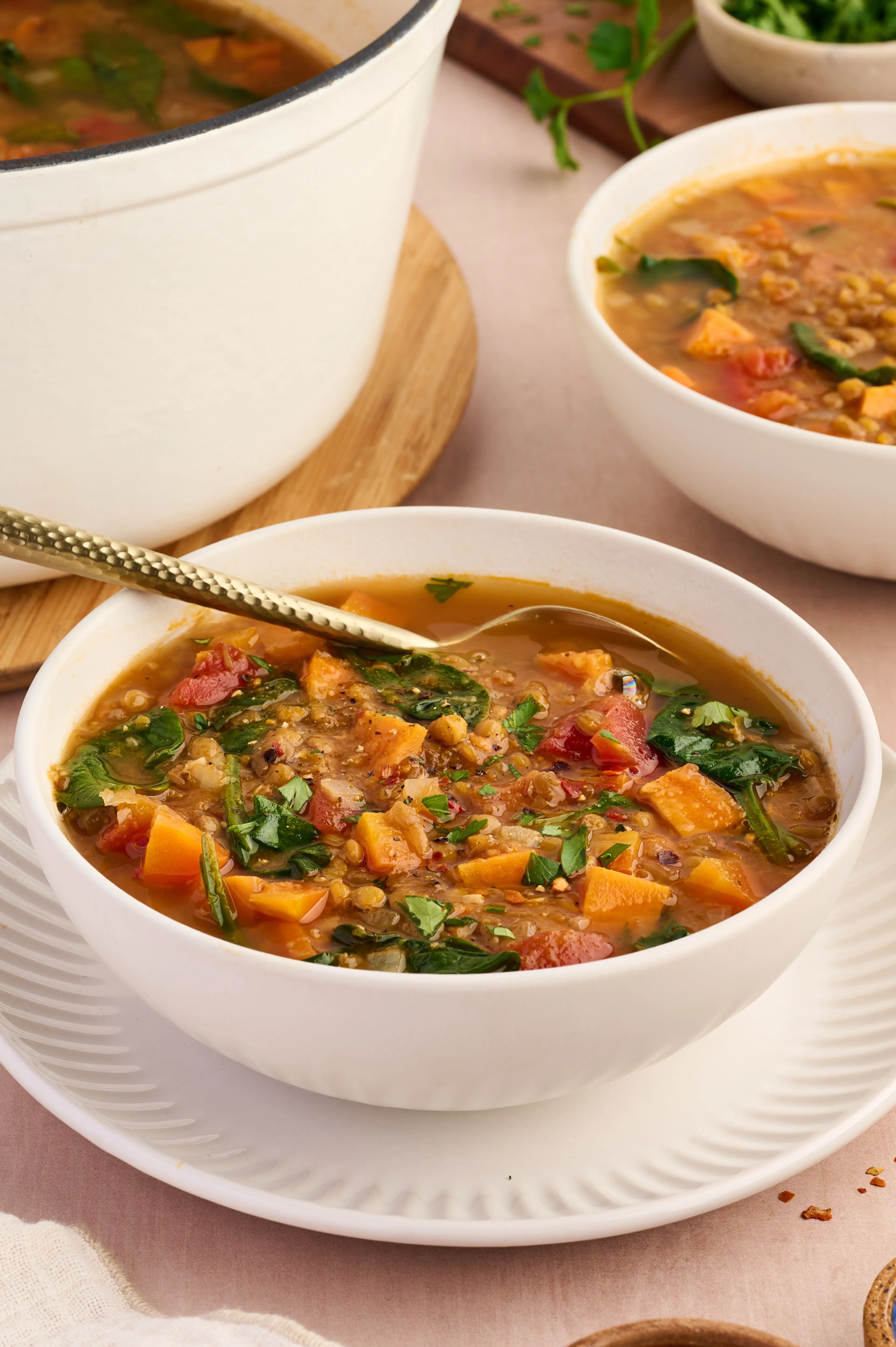Hearty Lentil Vegetable Soup