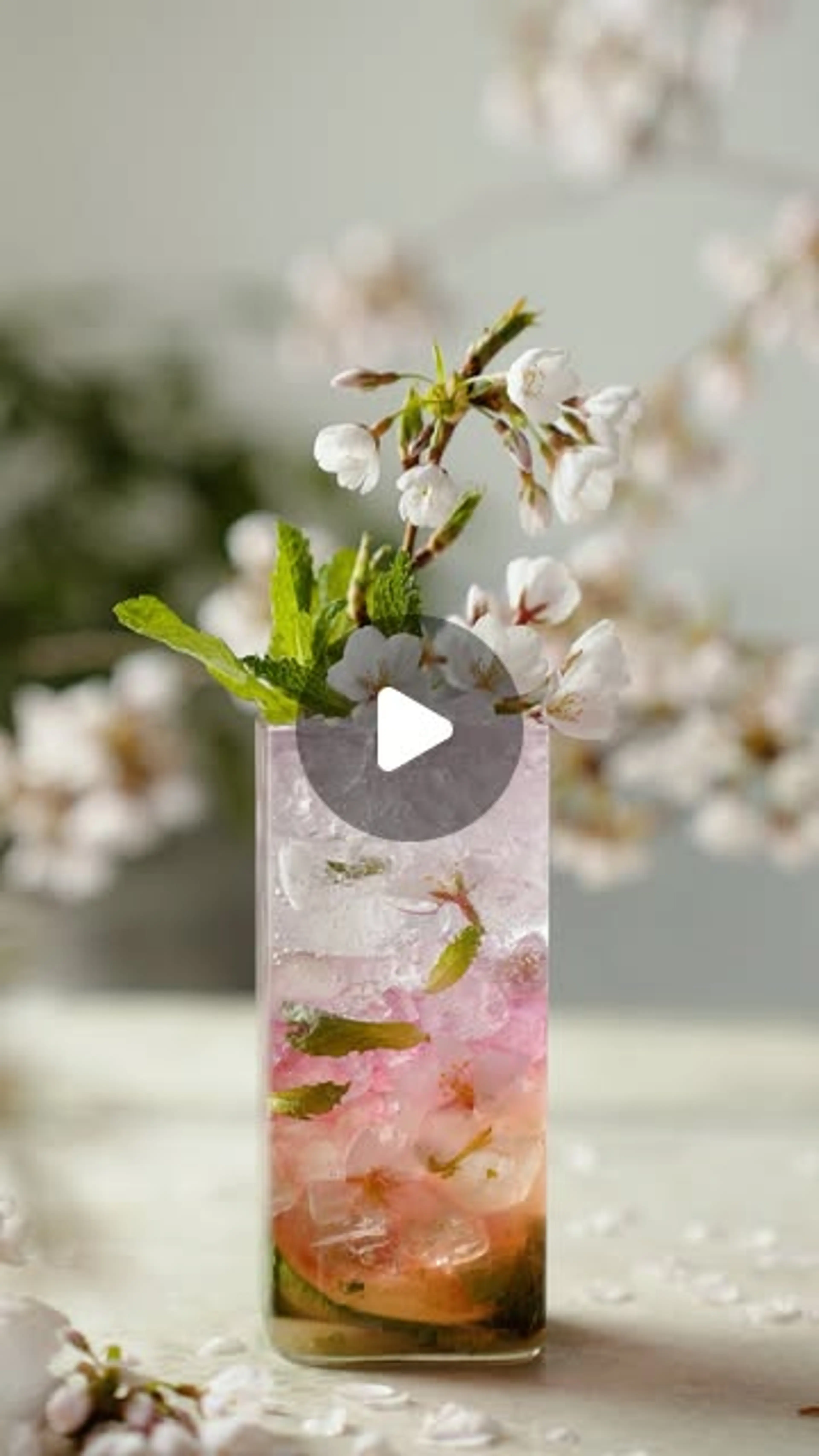 Blending the Beauty of Japanese Sakura Blossoms into a Mesme