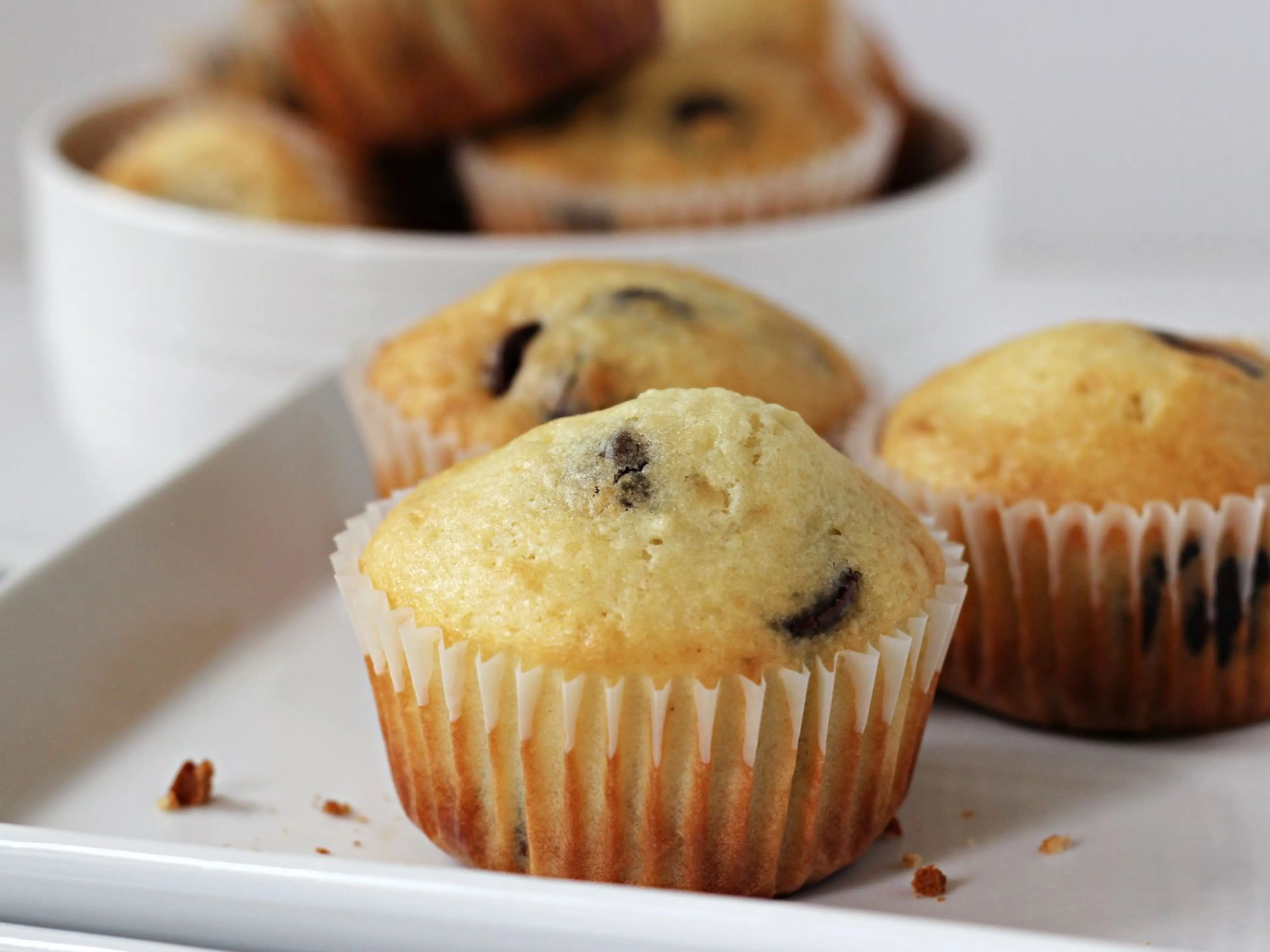 Basic Chocolate Chip Muffins