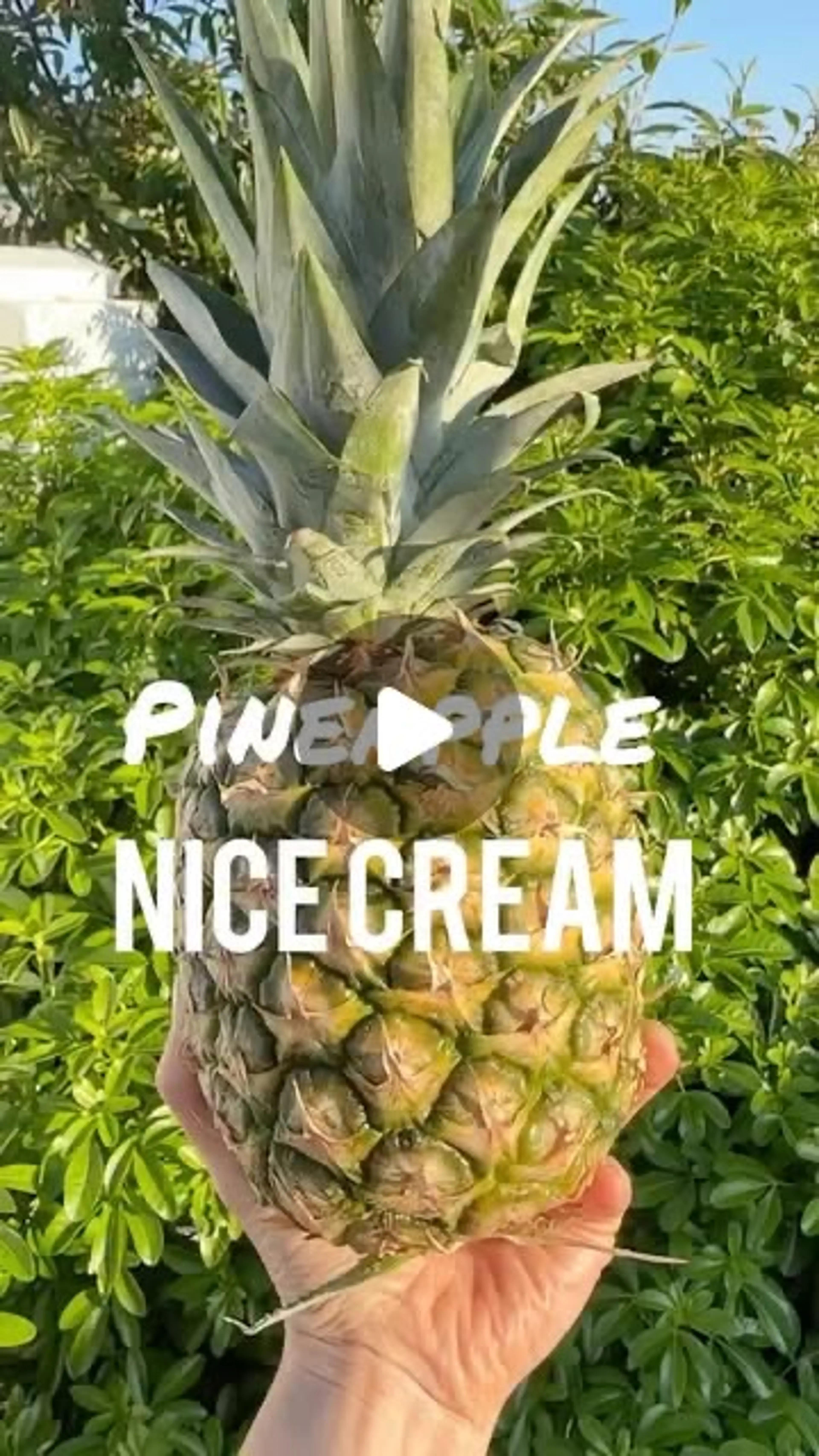 Recipe