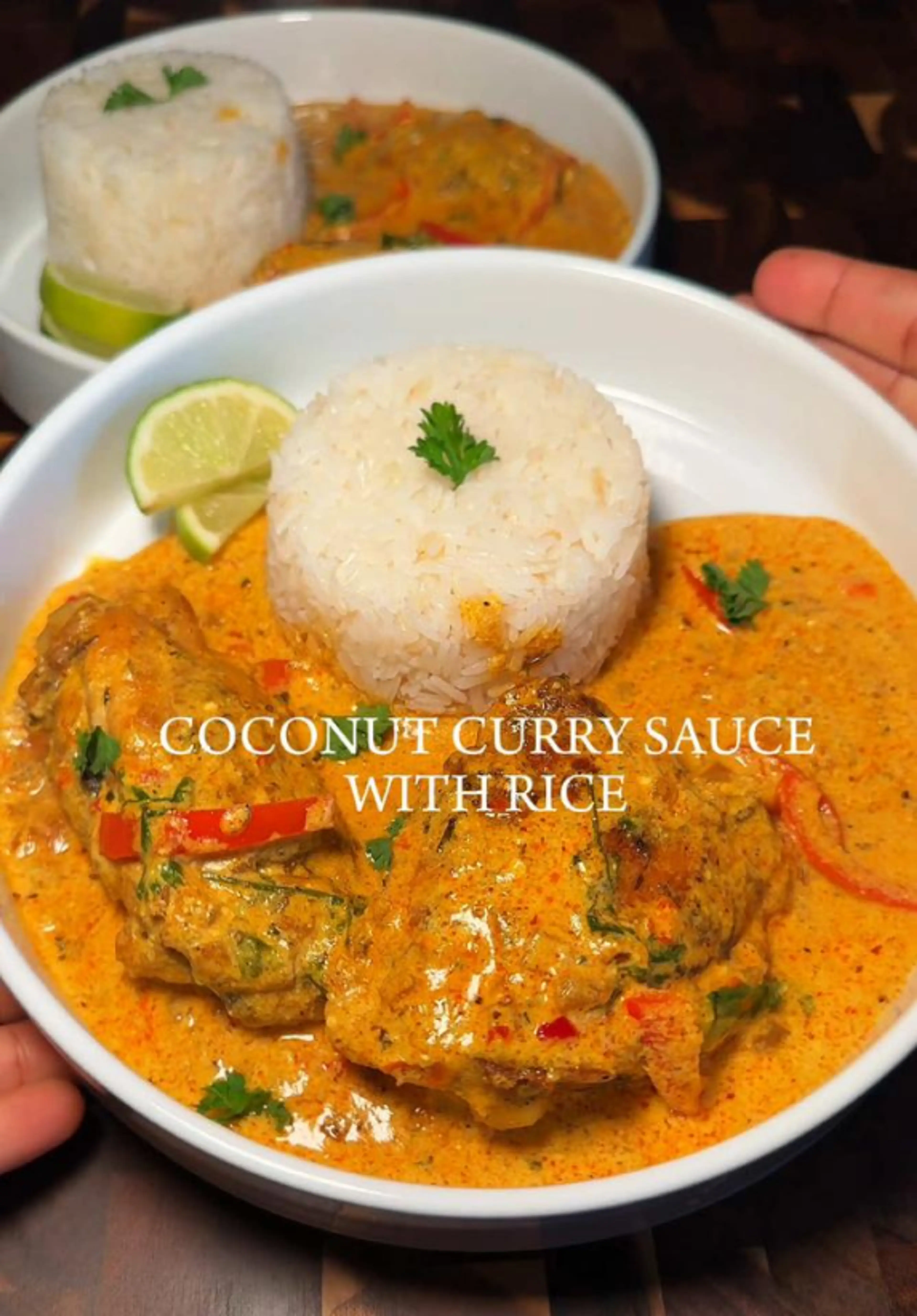 Coconut Curry Sauce with Rice