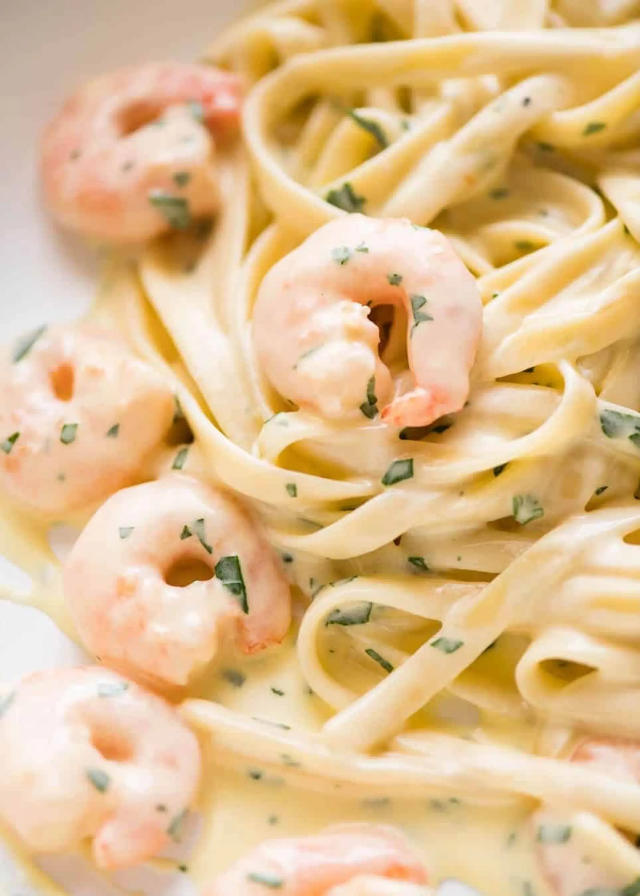 Creamy Garlic Prawn Pasta