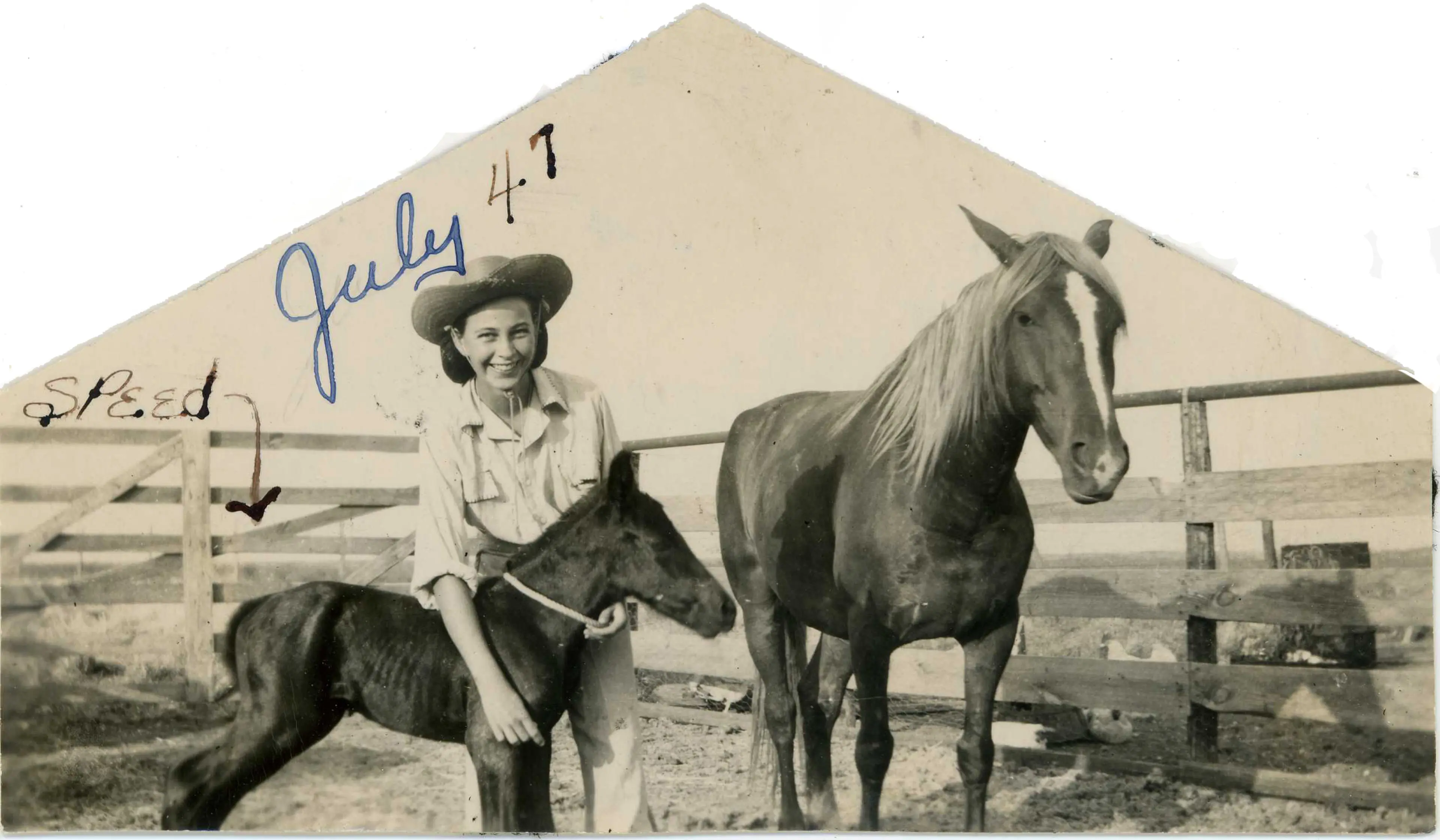 Lois's SPAM MEAT LOAF