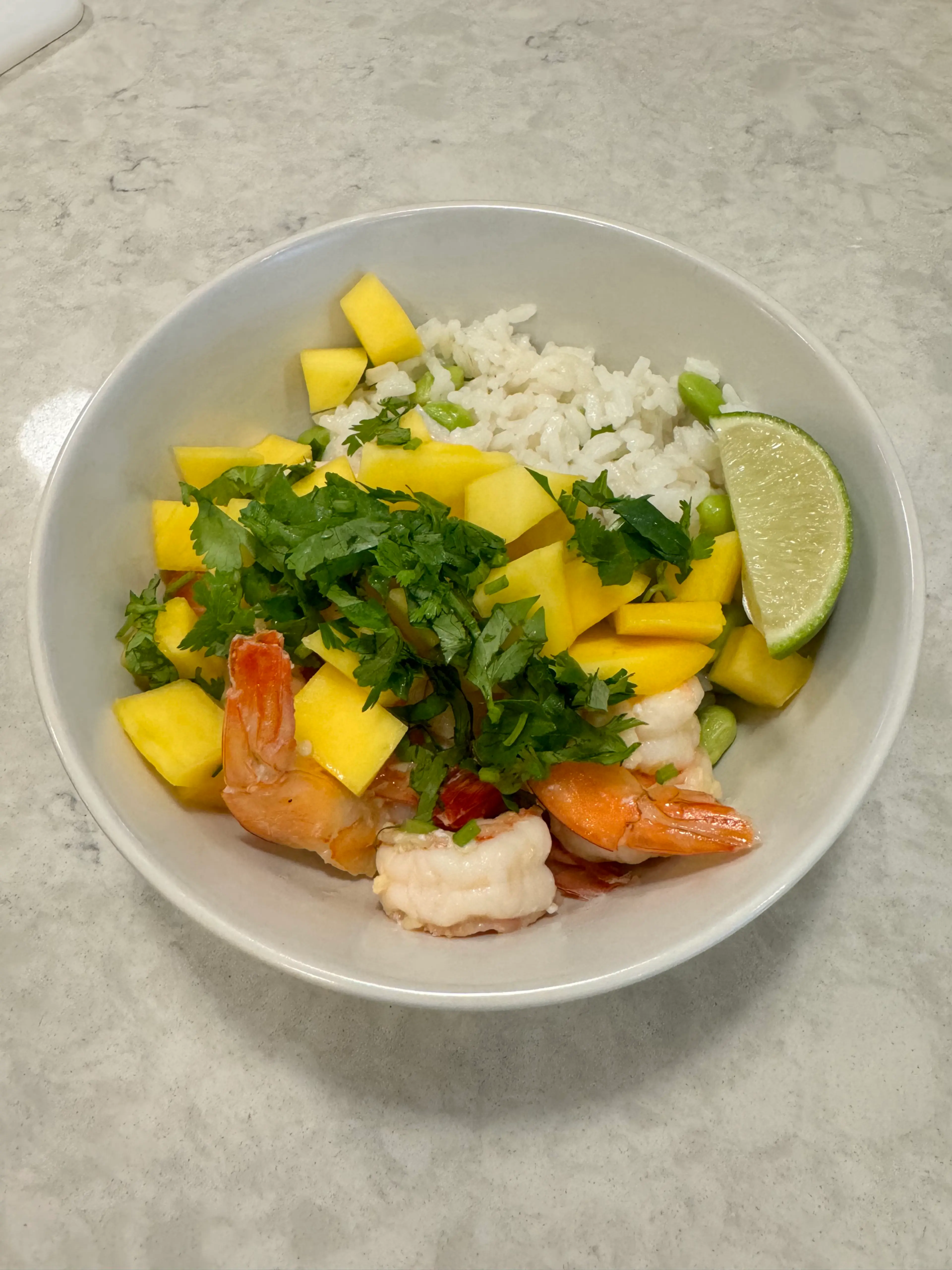 Coconut Rice Bowls With Mango