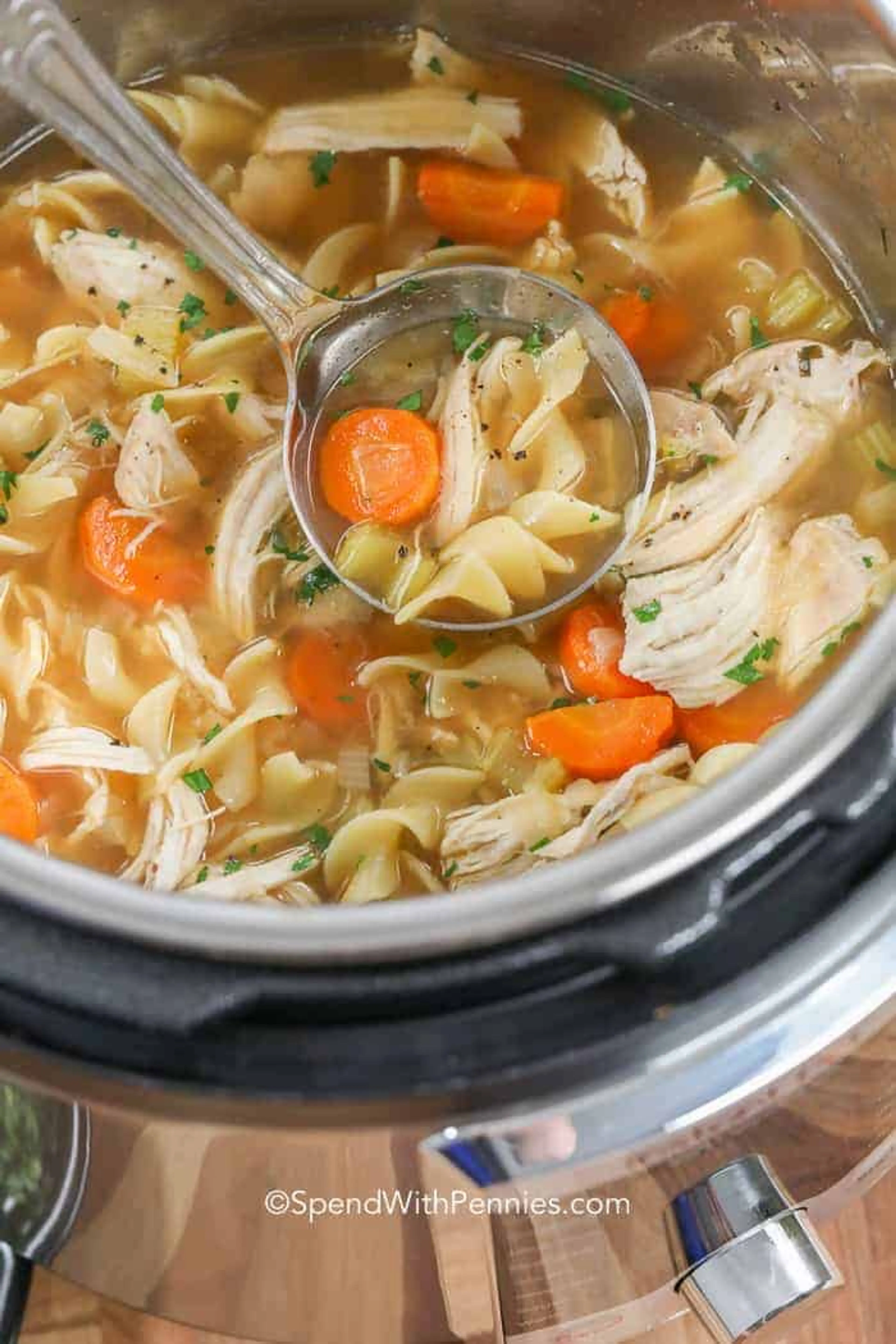 Instant Pot Chicken Noodle Soup