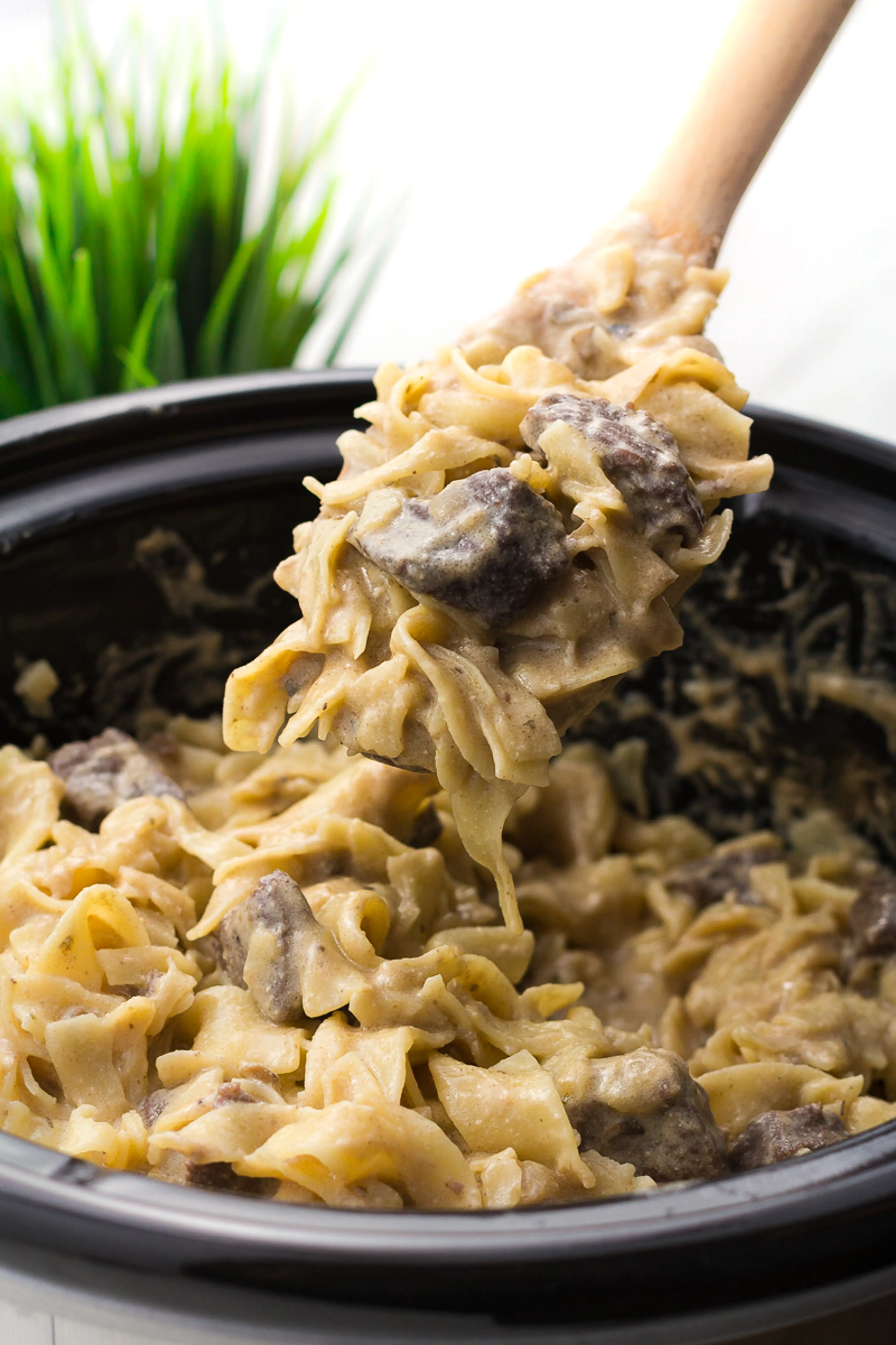 Crock Pot Beef Stroganoff