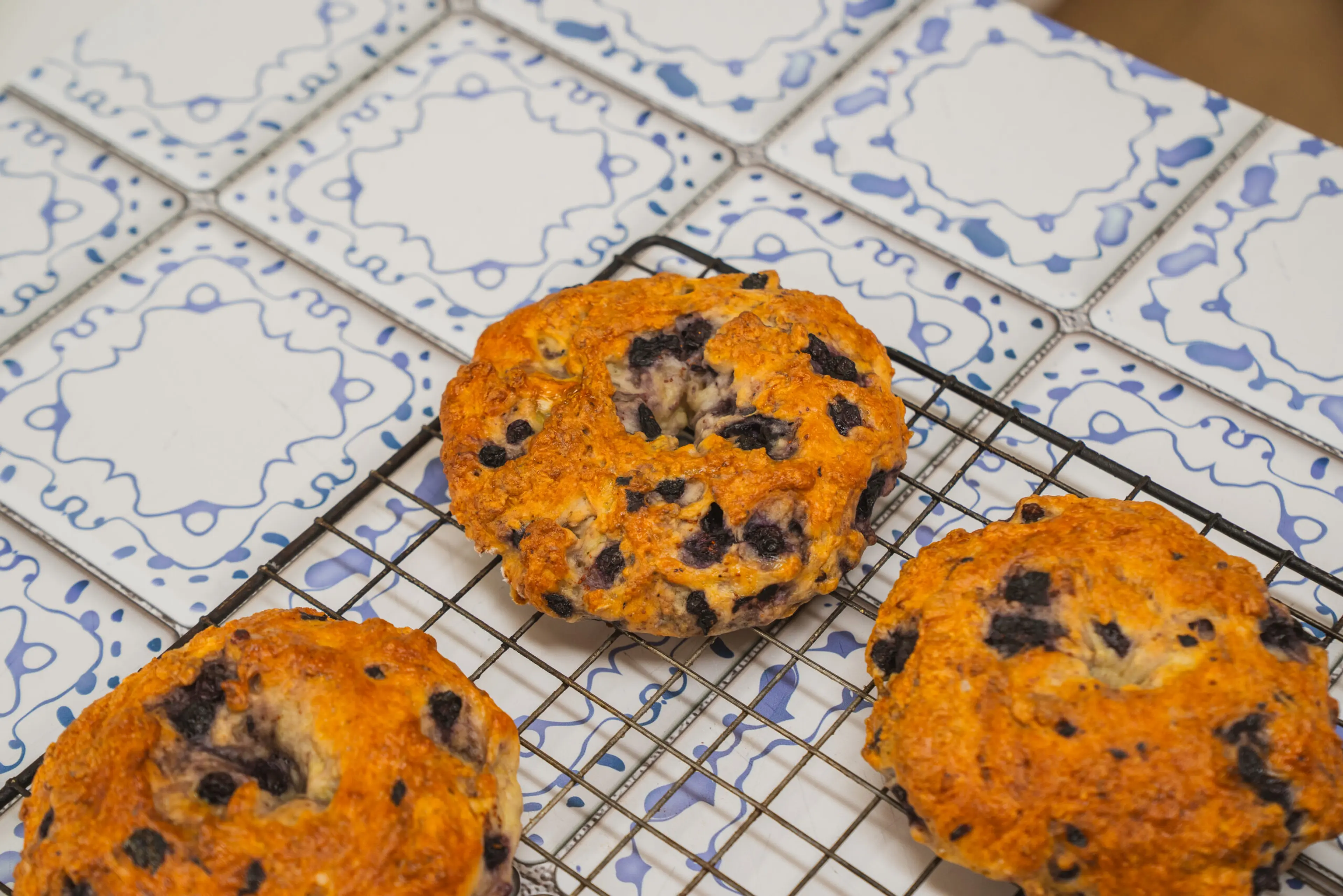 High Protein Blueberry Bagels