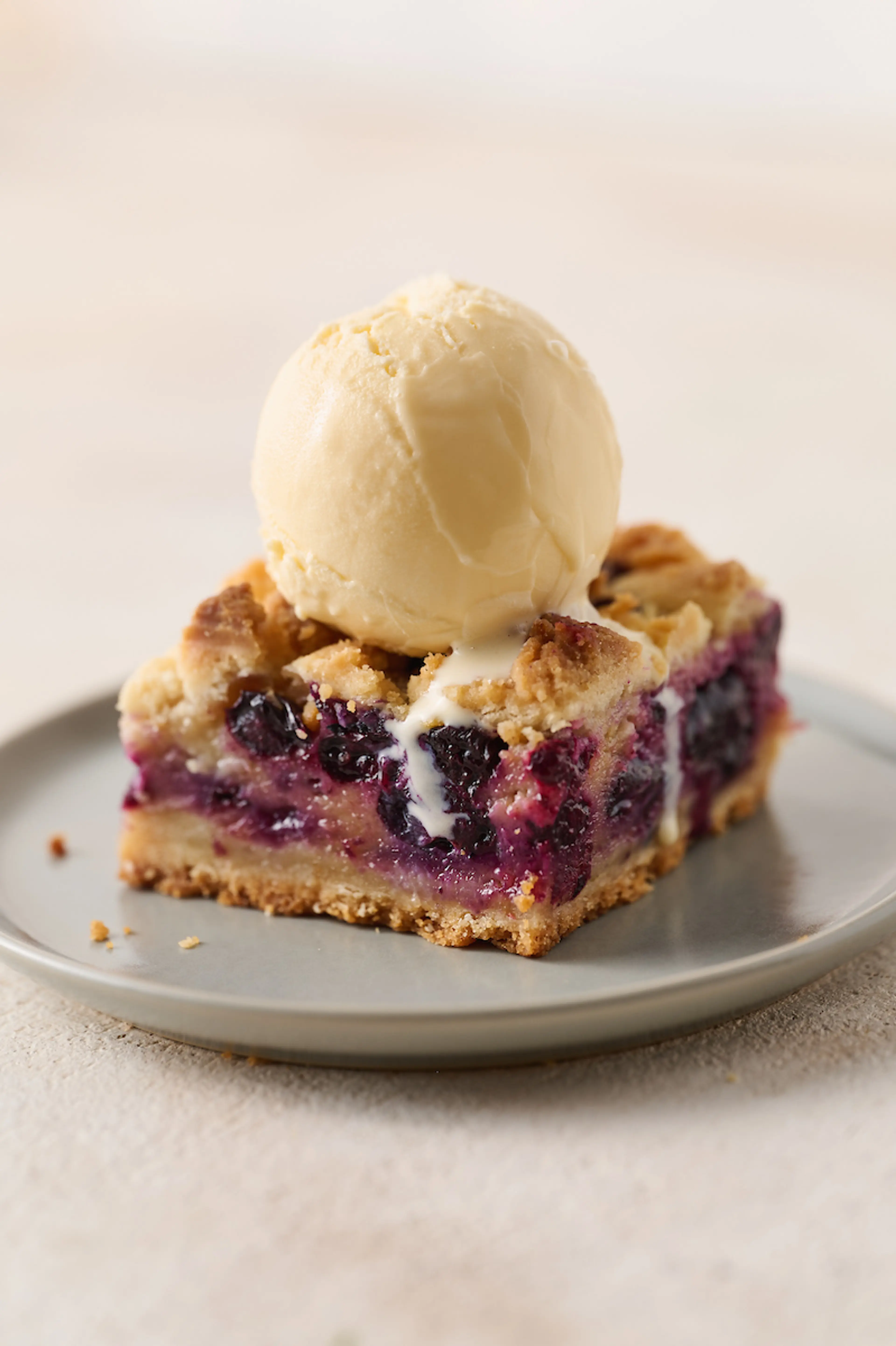 Blueberry Crumb Bars