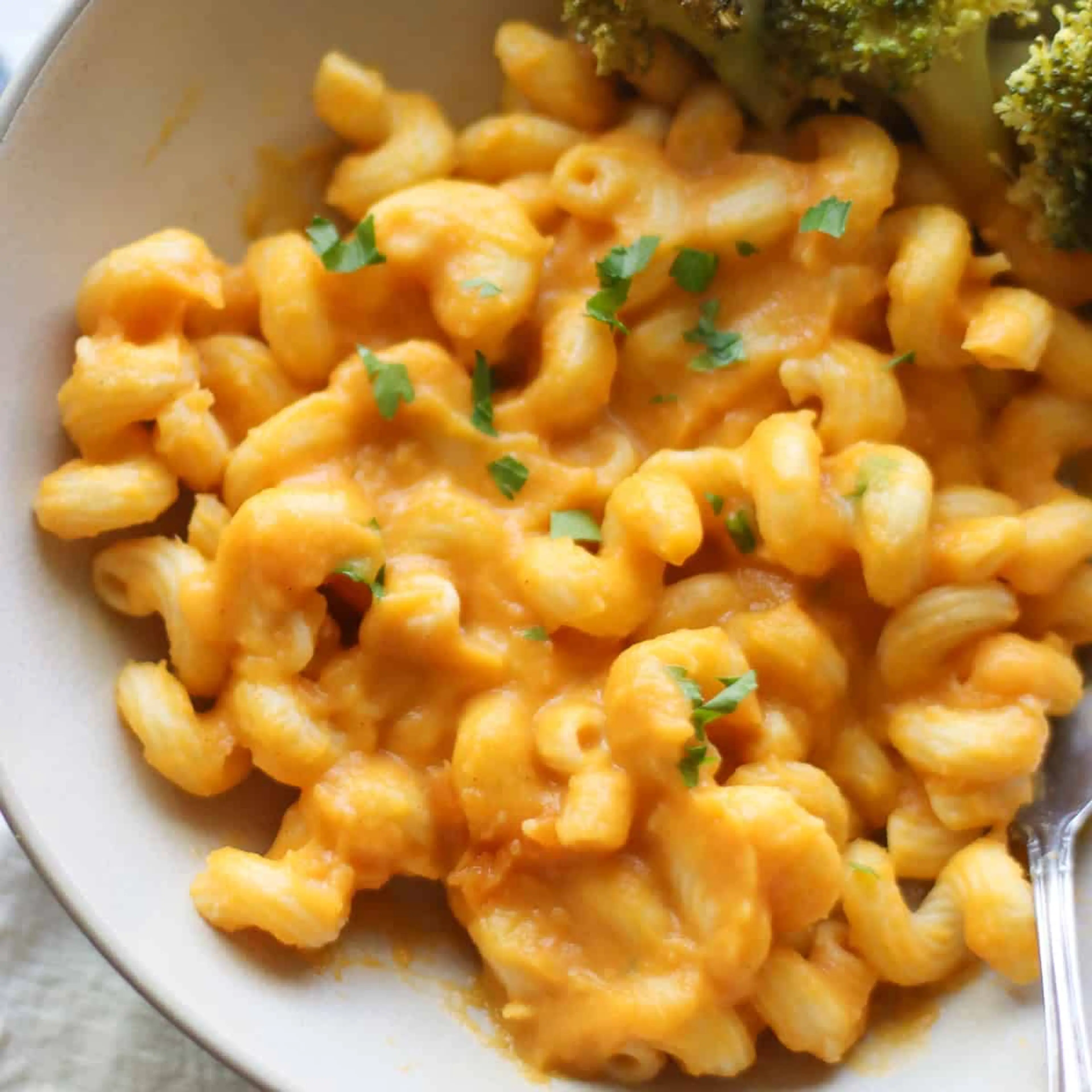 Butternut Squash Pasta Sauce