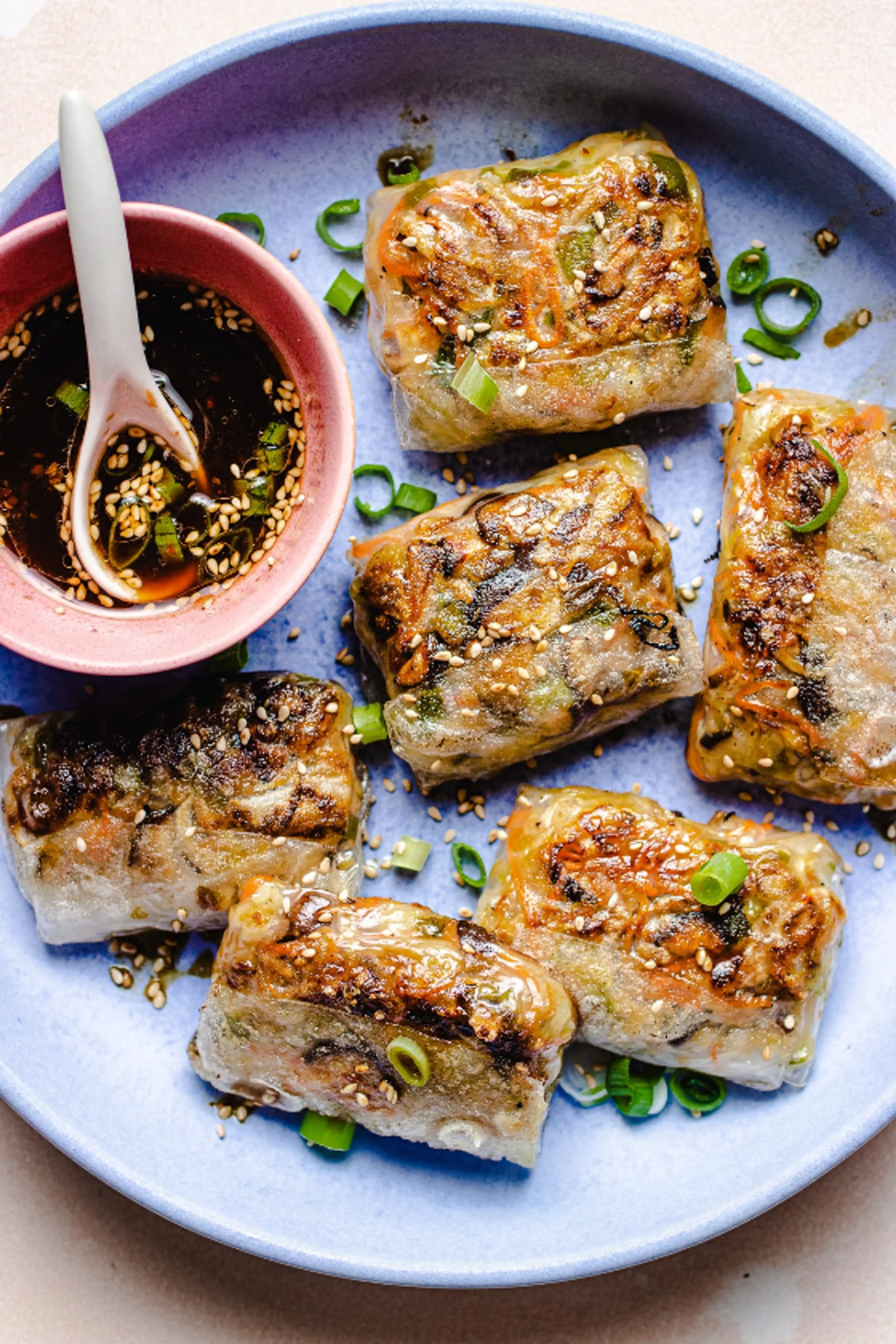 Rice Paper Dumplings Recipe