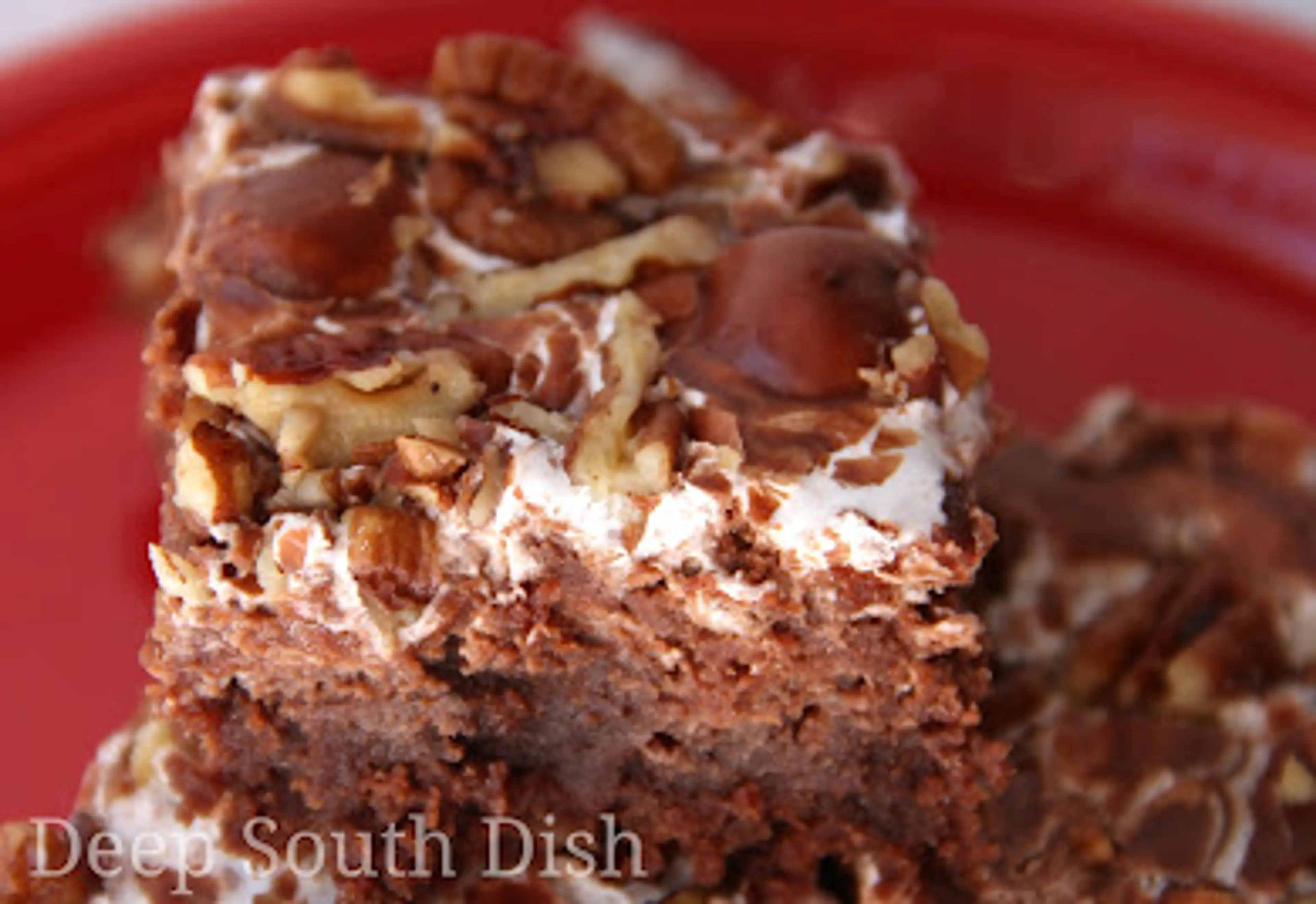 Mississippi Mud Cake
