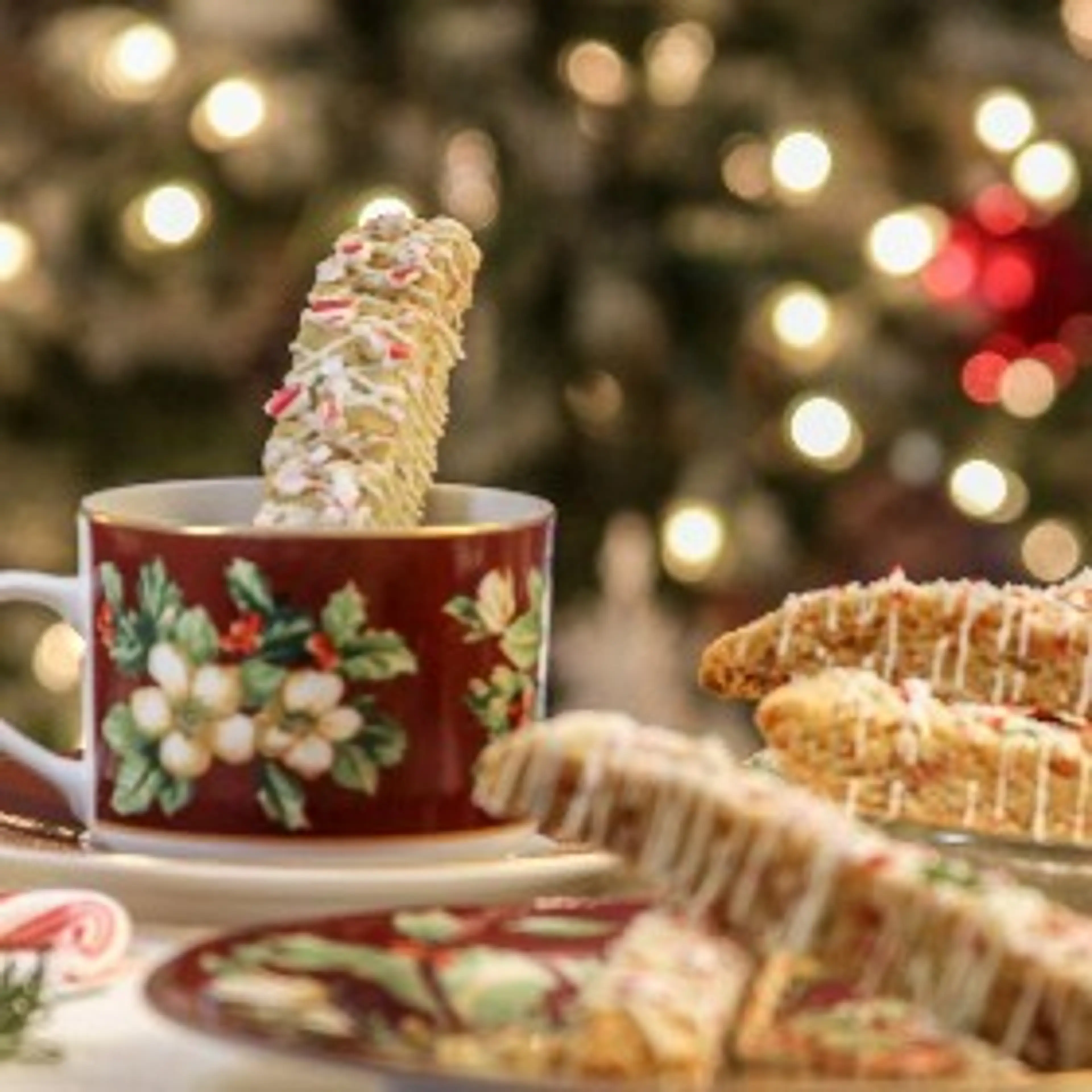 Christmas Biscotti