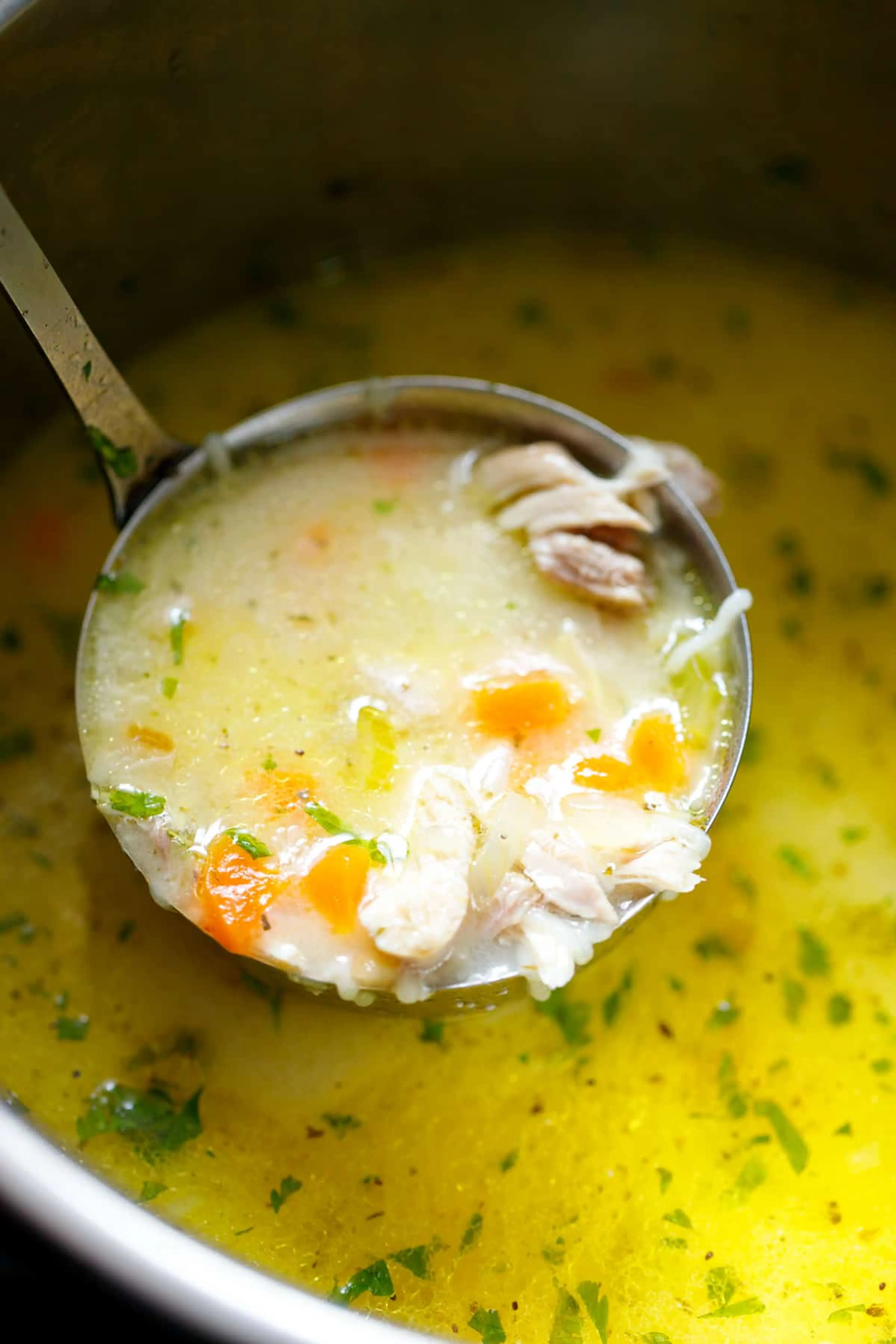 Bulgarian Chicken Soup