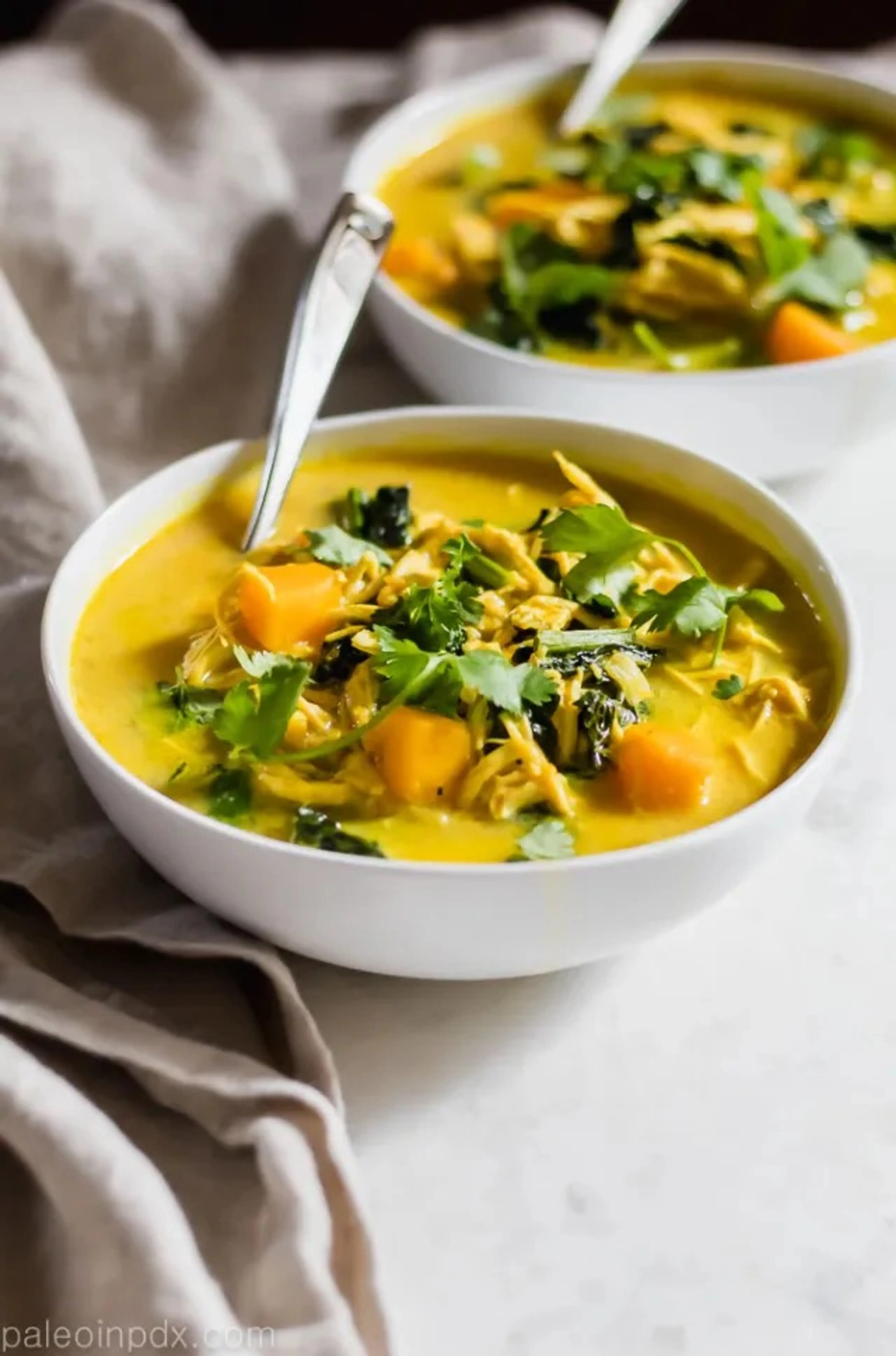 Coconut Curry Chicken and Butternut Squash