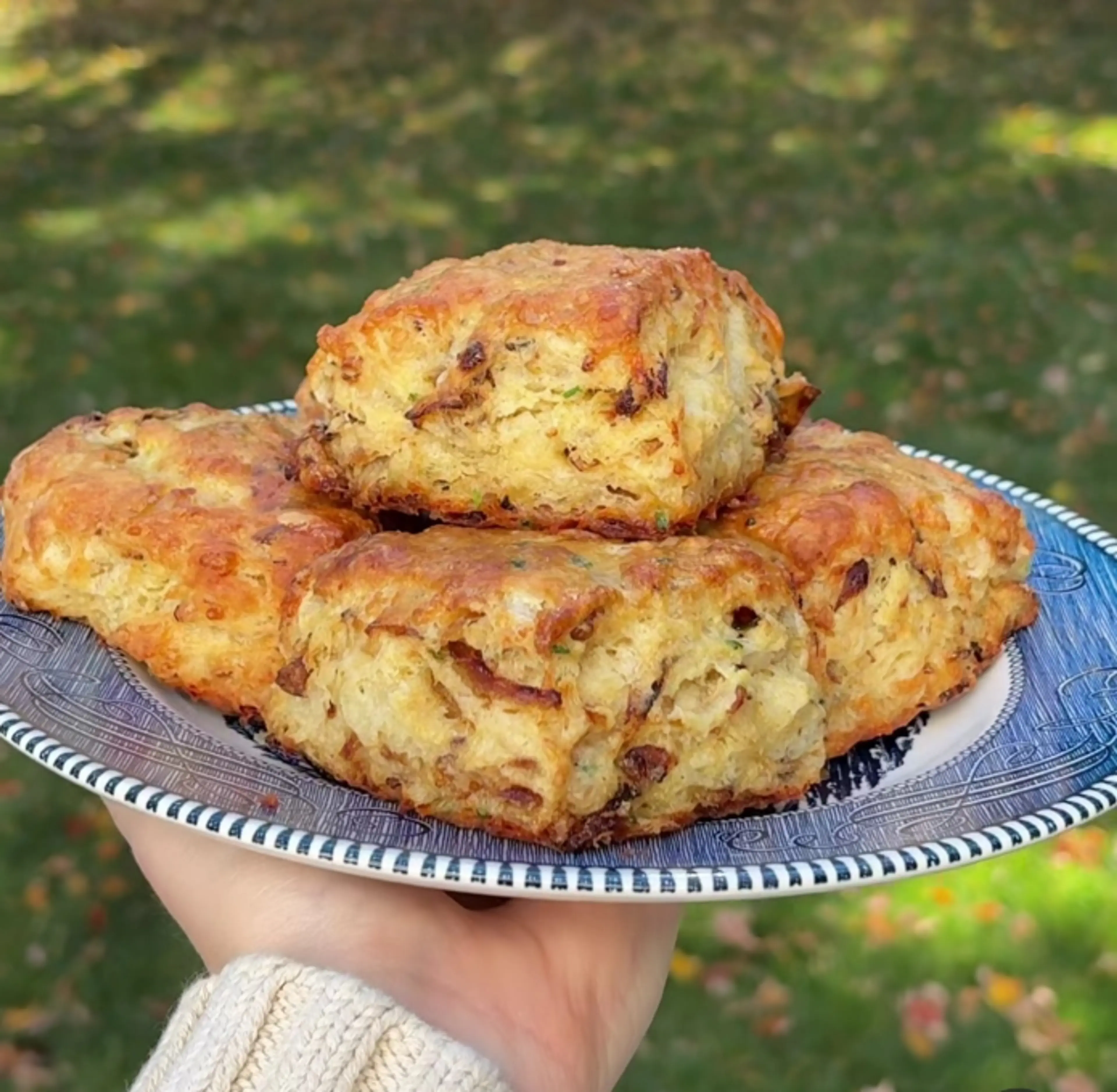 Carmelized Onion And Gruyere Biscuits