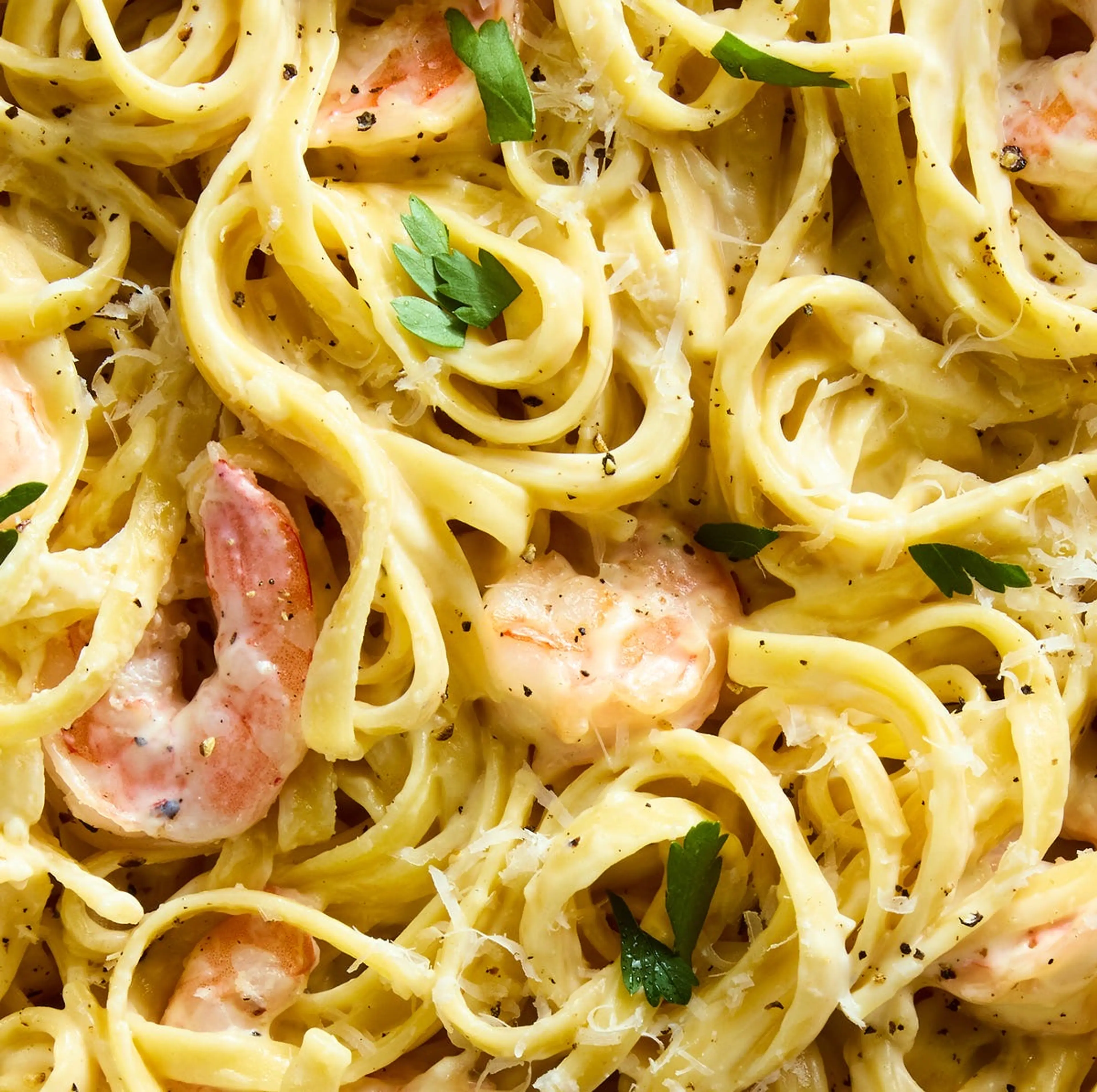 Shrimp Fettuccine Alfredo