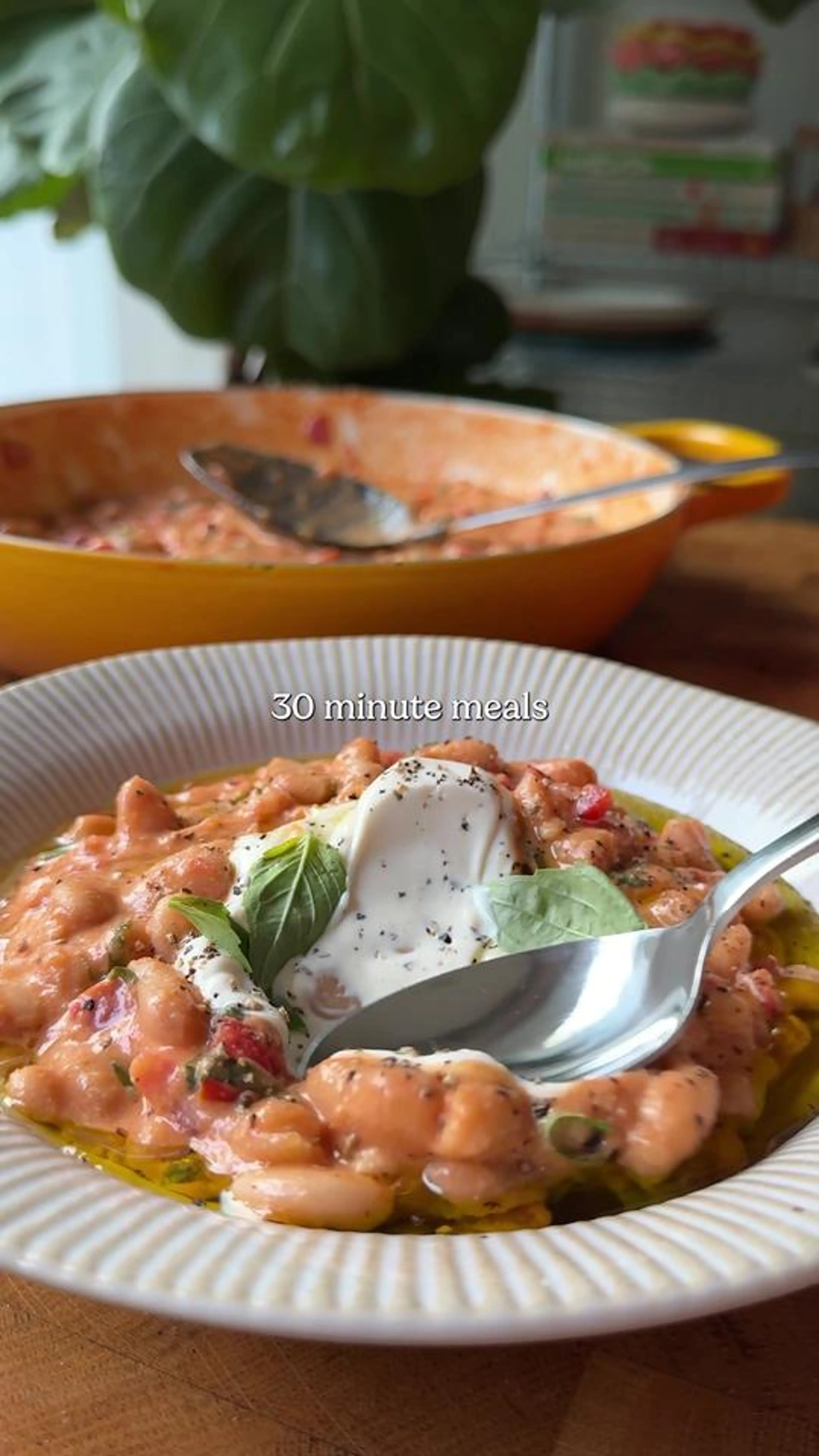 High Protein Creamy Tomato and Basil Beans
