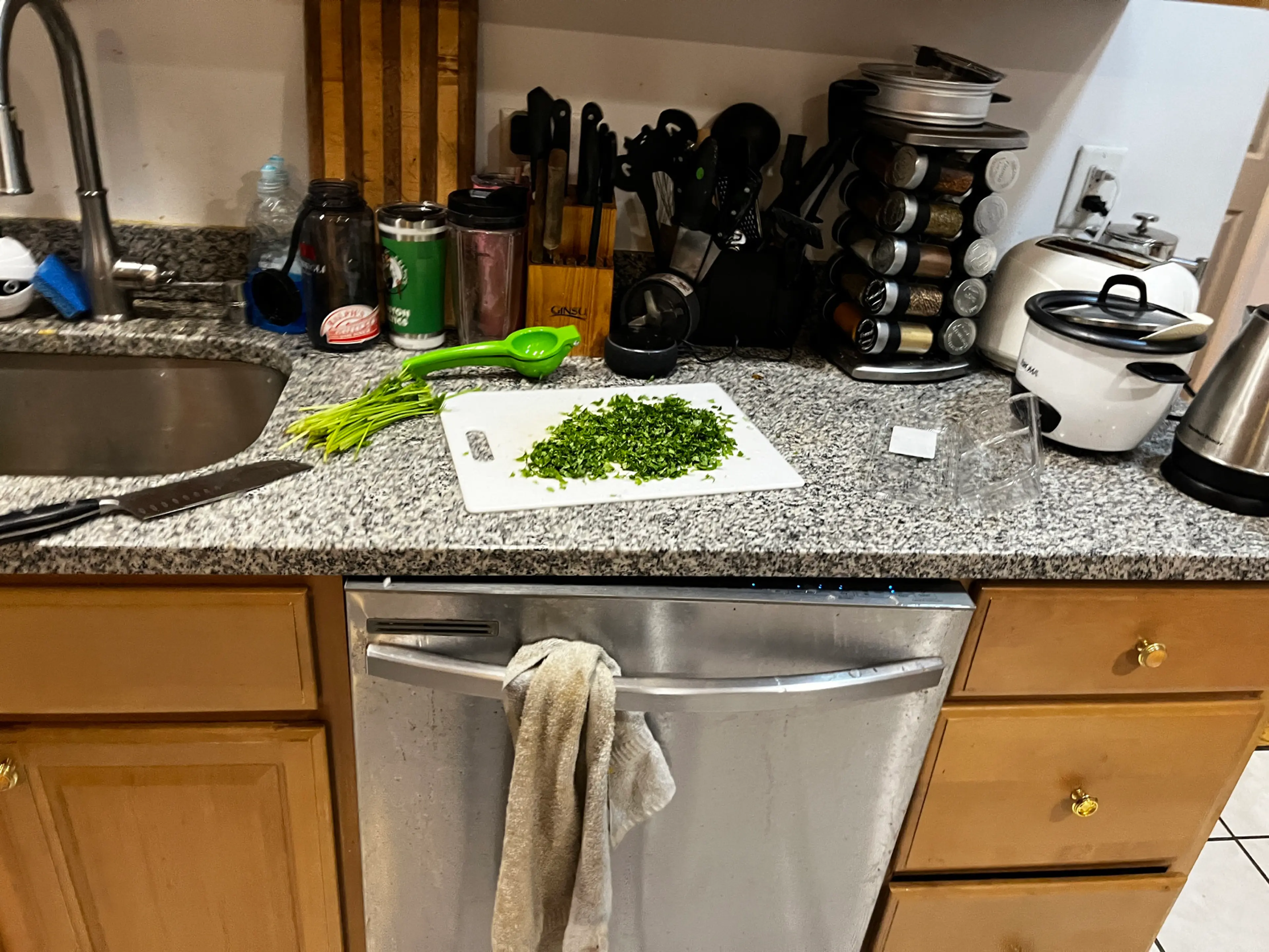 Turkey Burritos