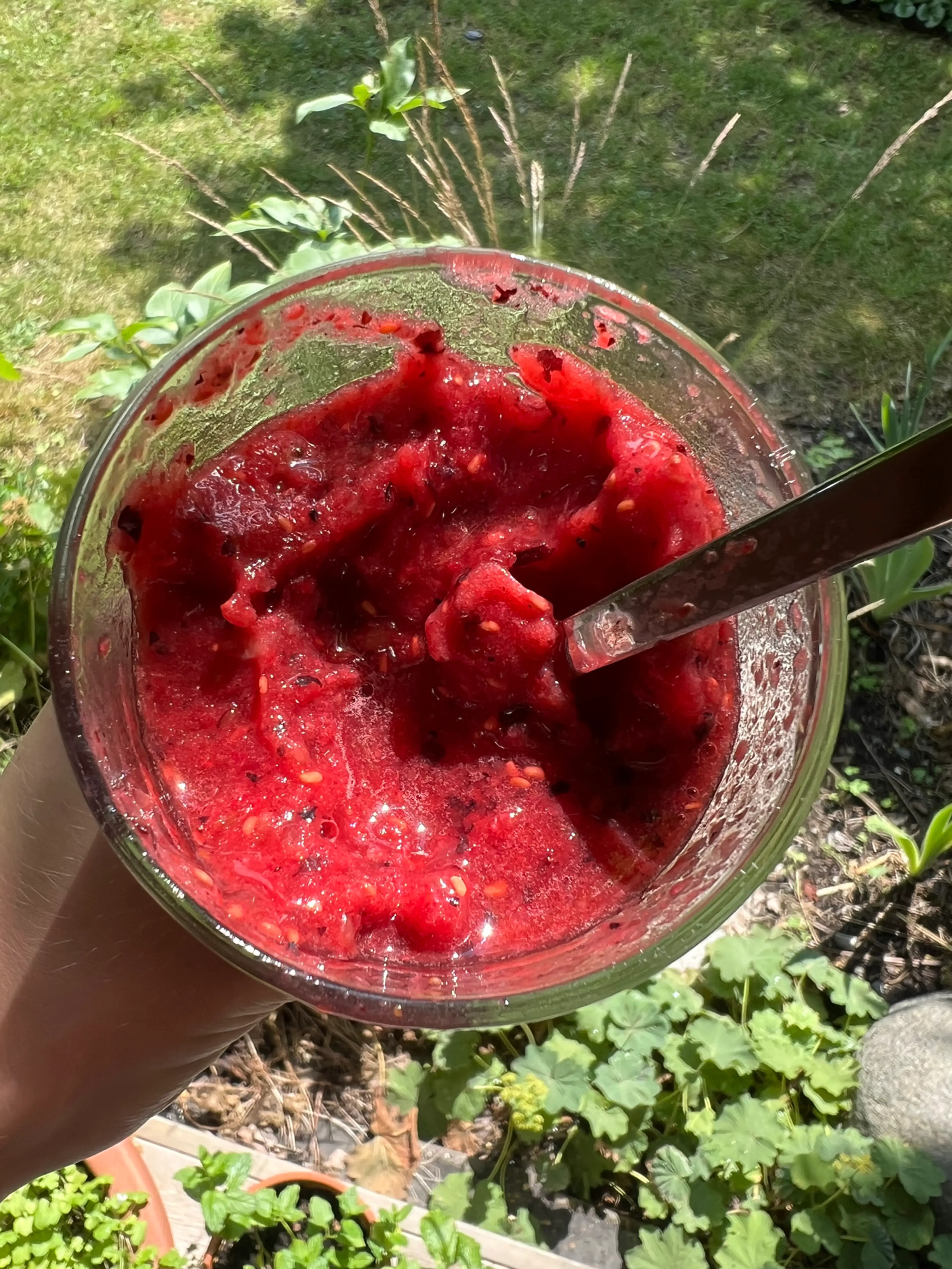 Bärsorbet