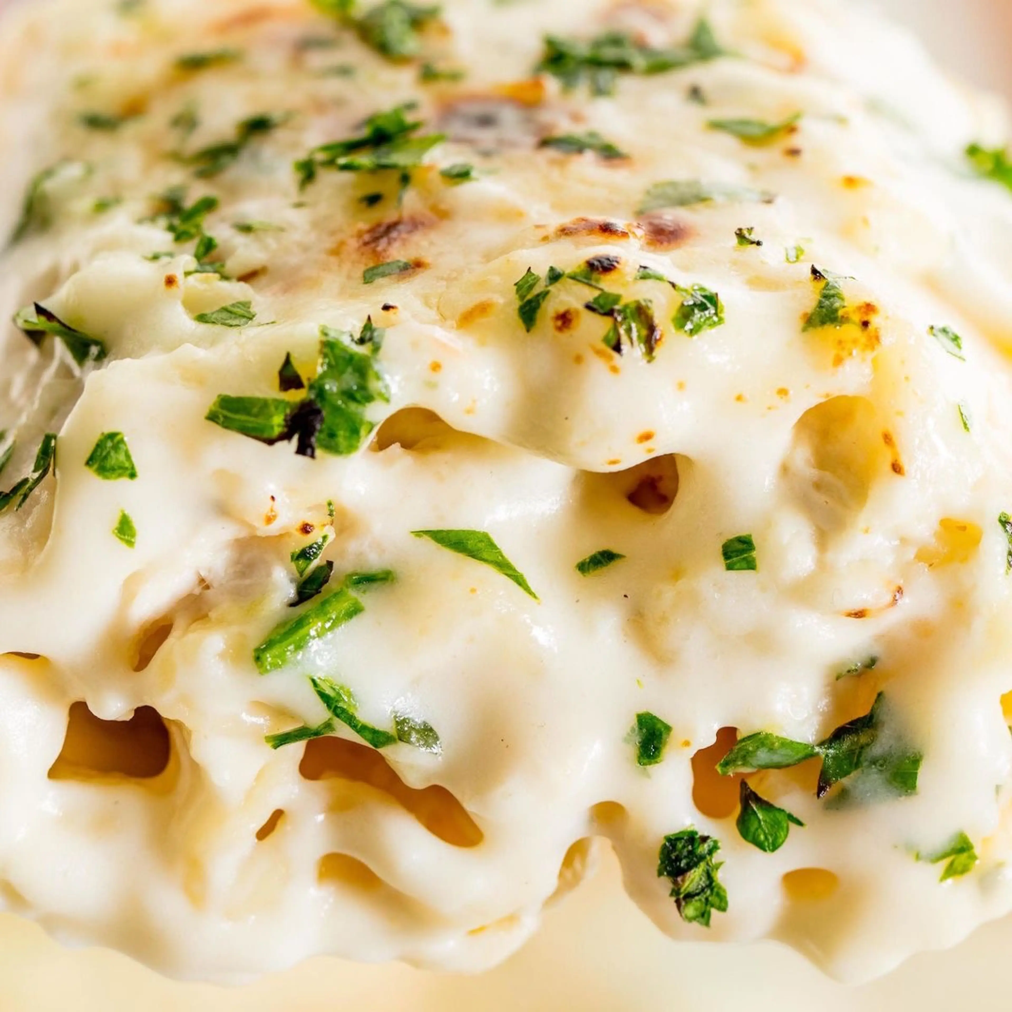 Chicken Alfredo Roll-Ups