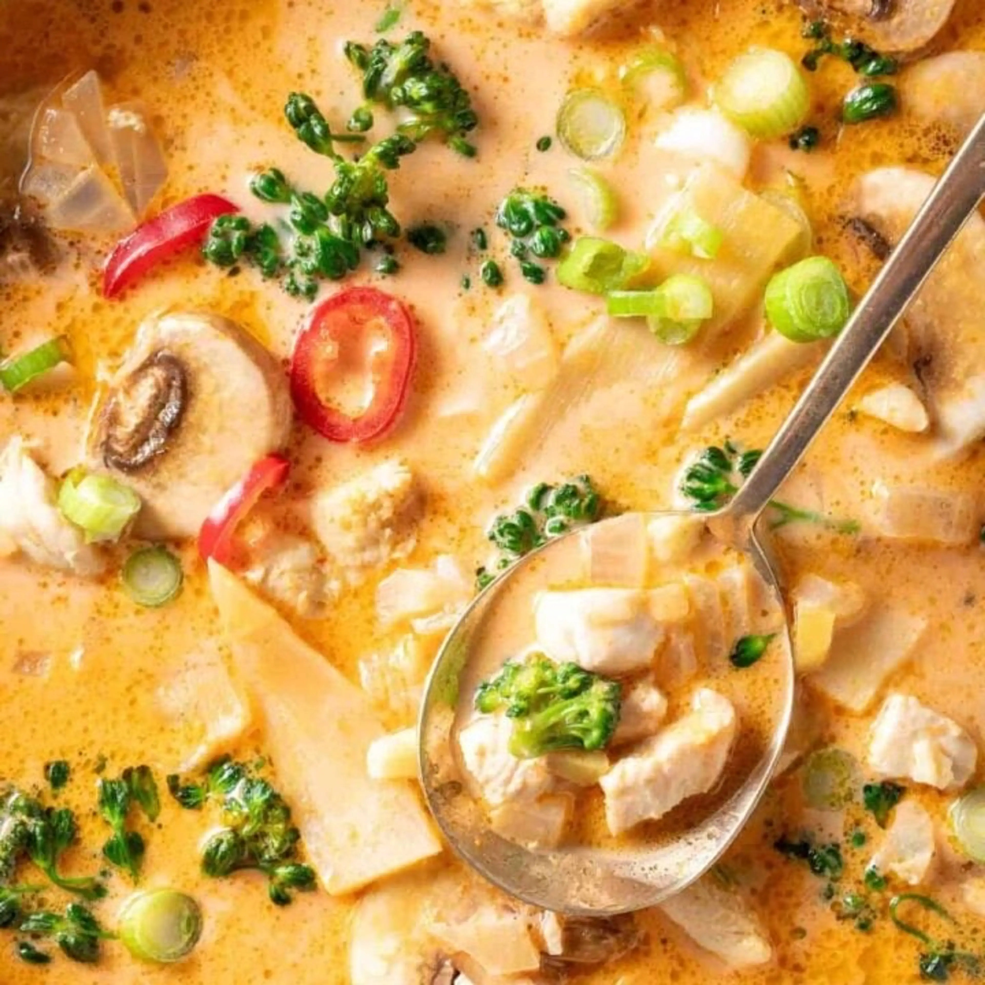 Tom Kha Thai Coconut Chicken Soup