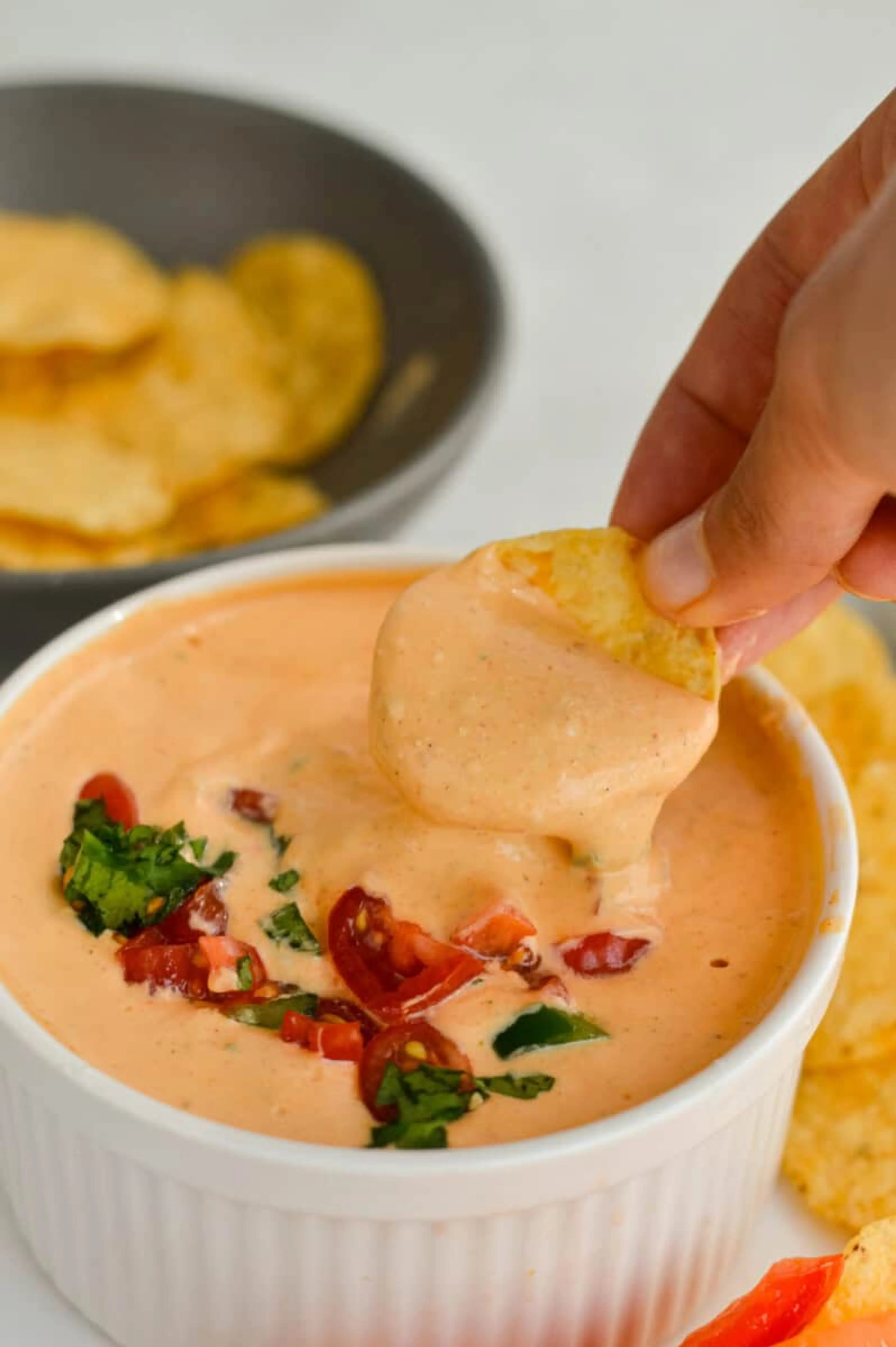 High Protein Cottage Cheese Queso