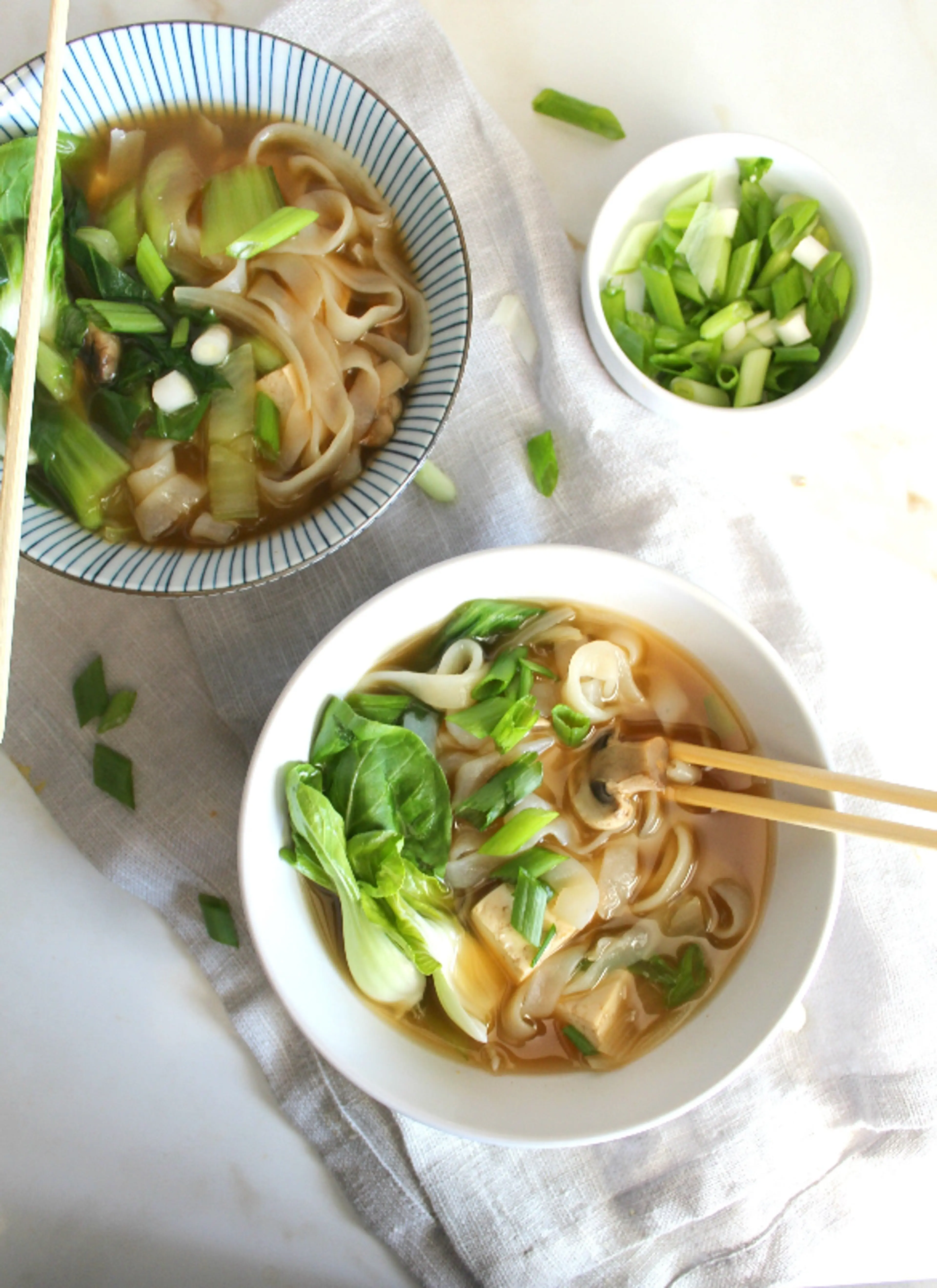 Asian Vegetable Noodle Soup