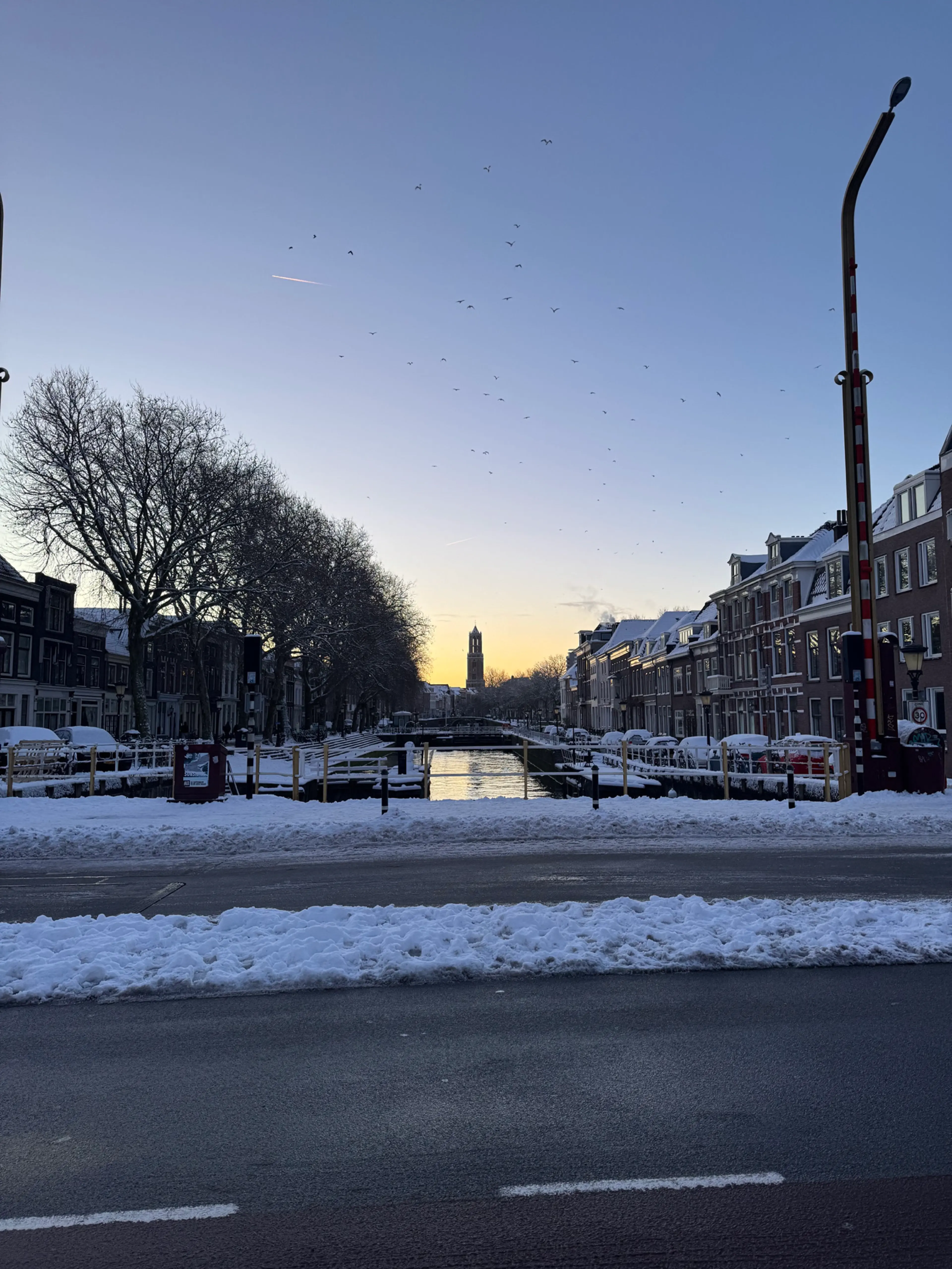 Pompoen Linzen Curry Met Halloumi En Munt-yoghurt