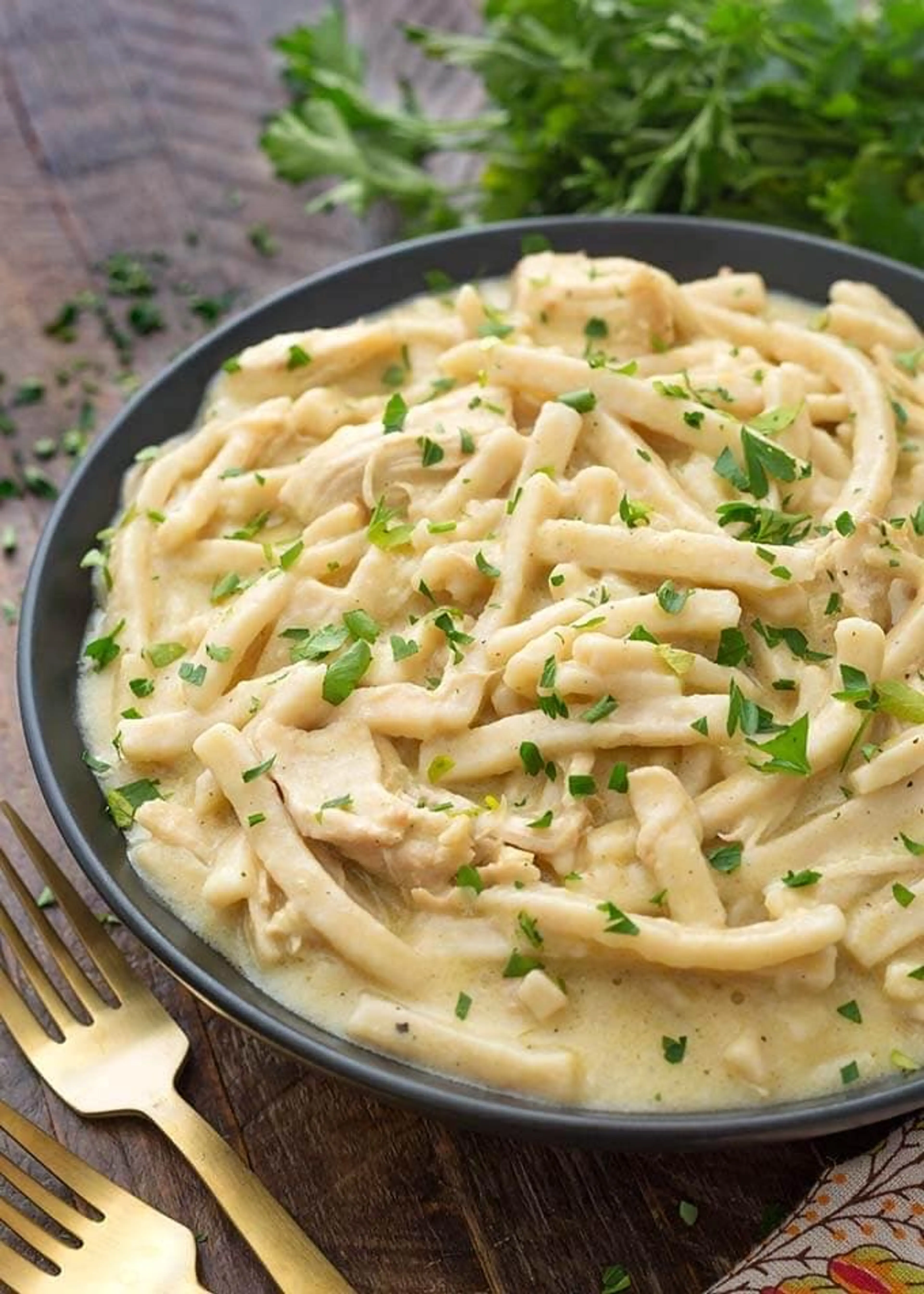 Instant Pot Chicken and Noodles