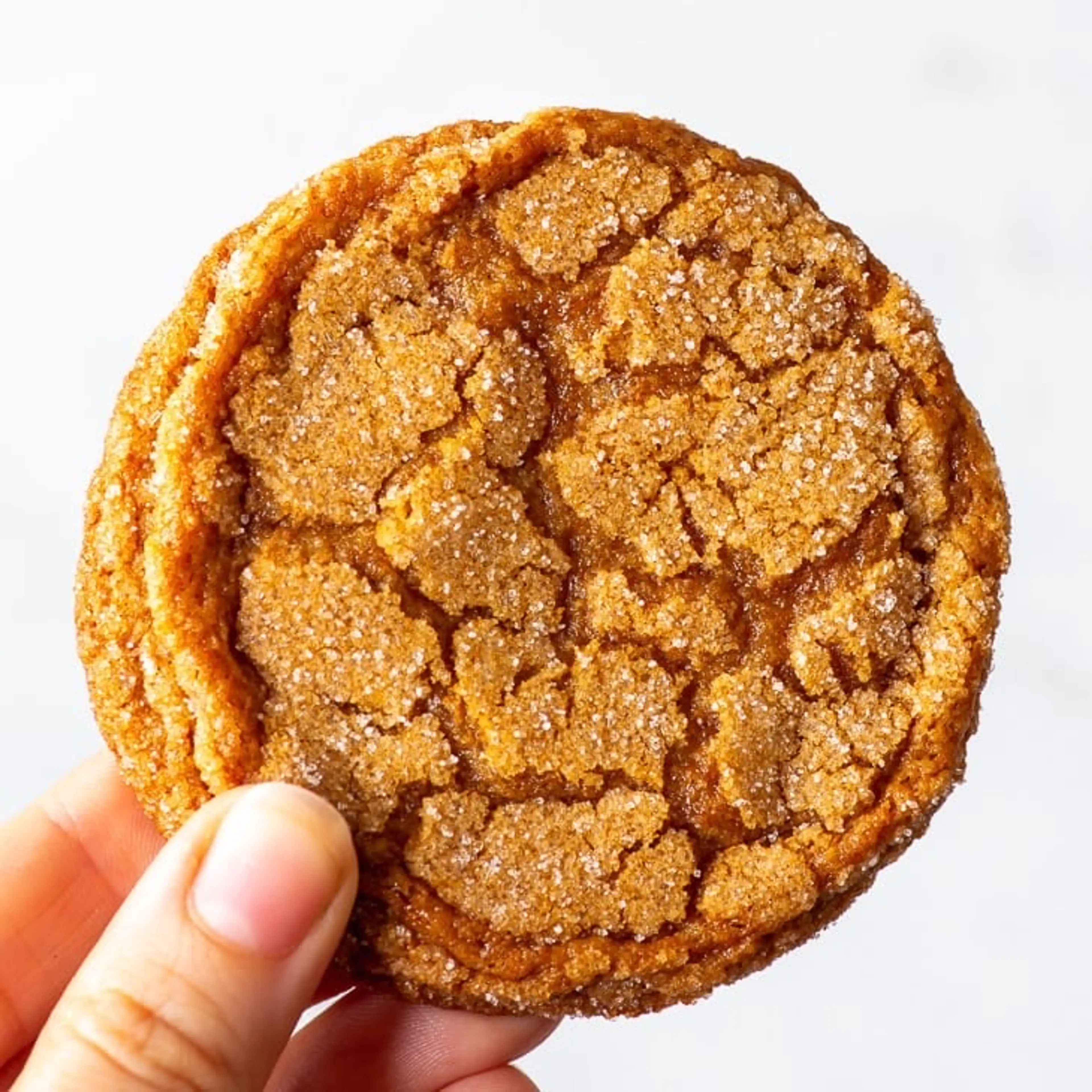 Extra Chewy Ginger Spice Cookies (Gluten Free)