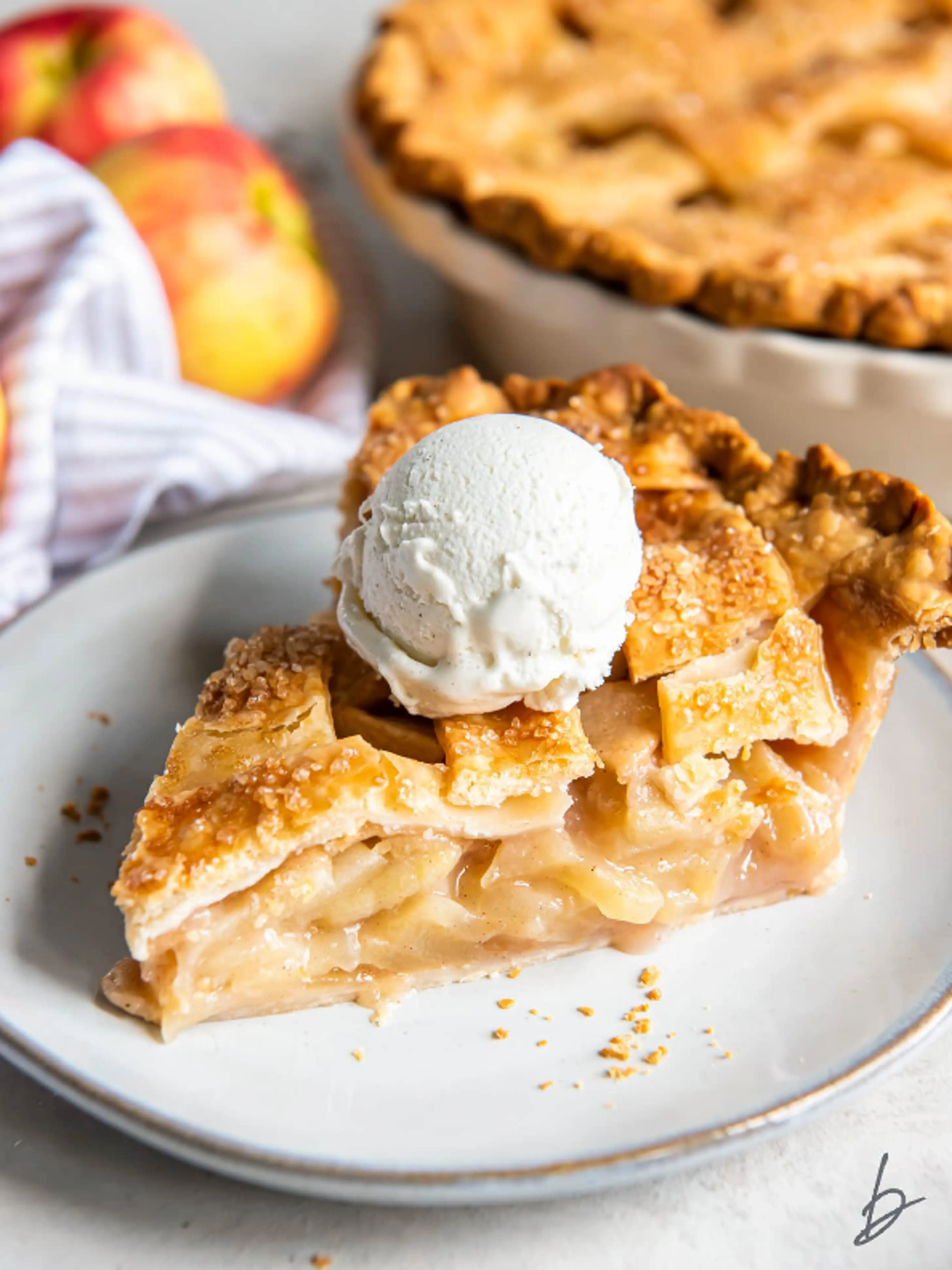 The BEST Apple Pie Recipe