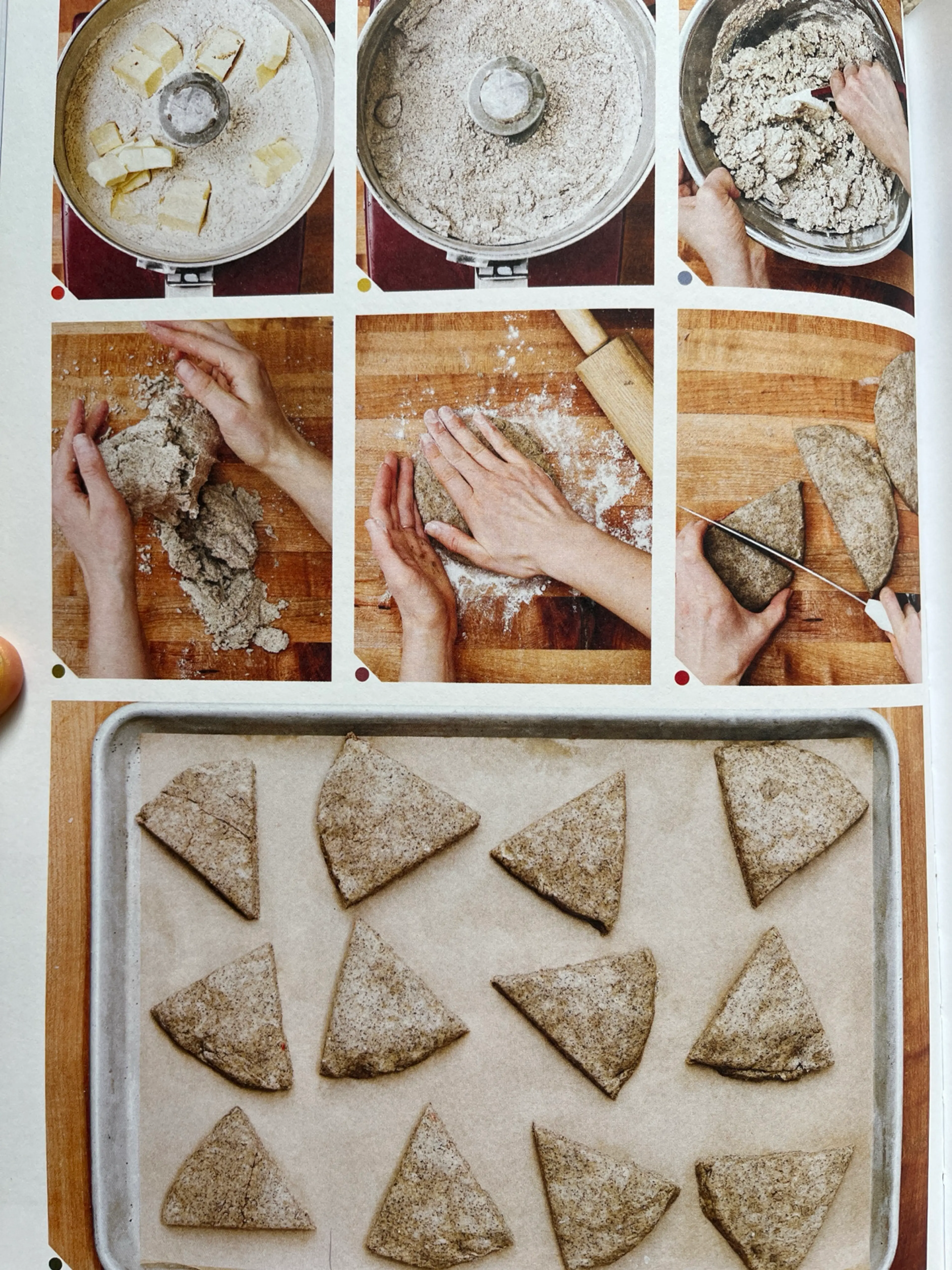 Buckwheat Cream Scones, Your Way
