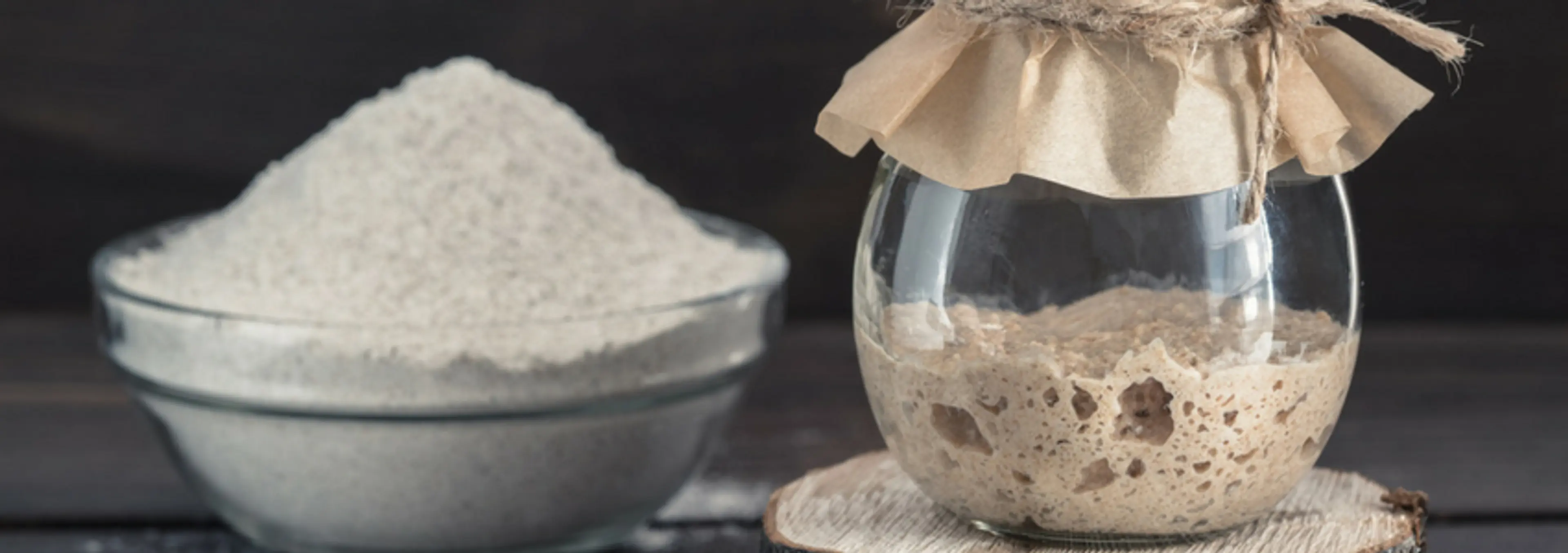 Gertrude (Sourdough Starter)