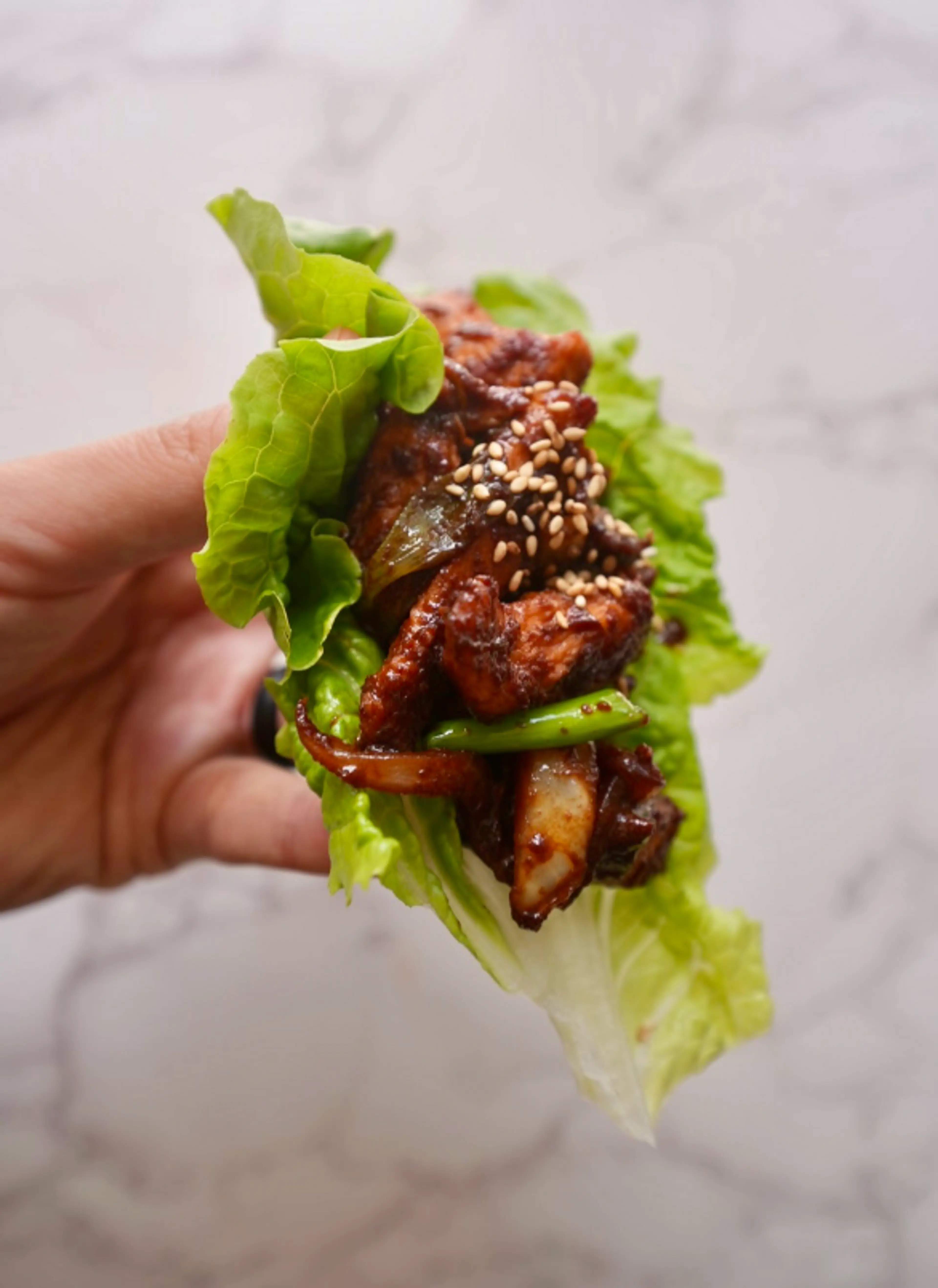 Spicy Korean Chicken Bulgogi