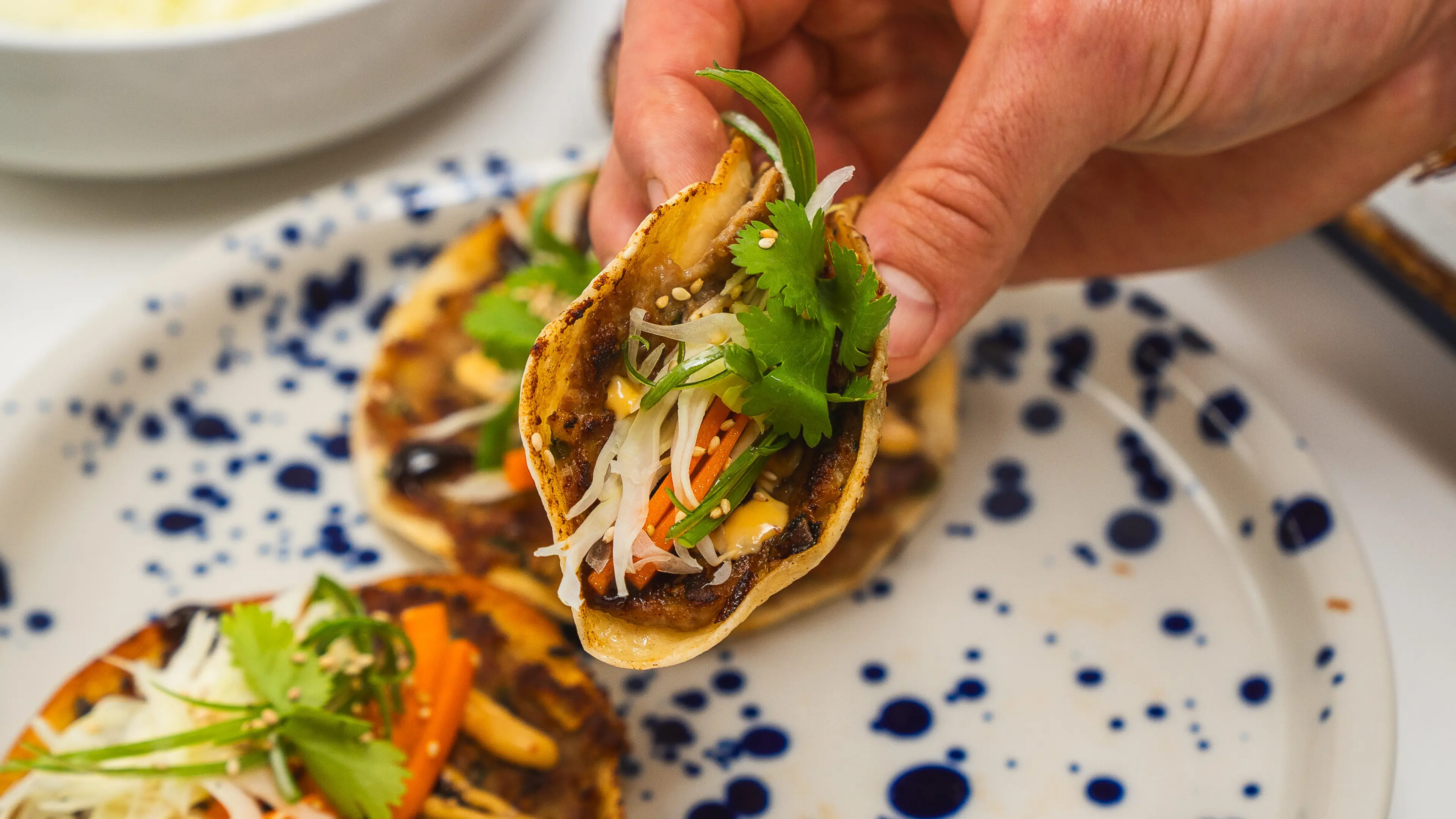 Smash Dumpling Tacos