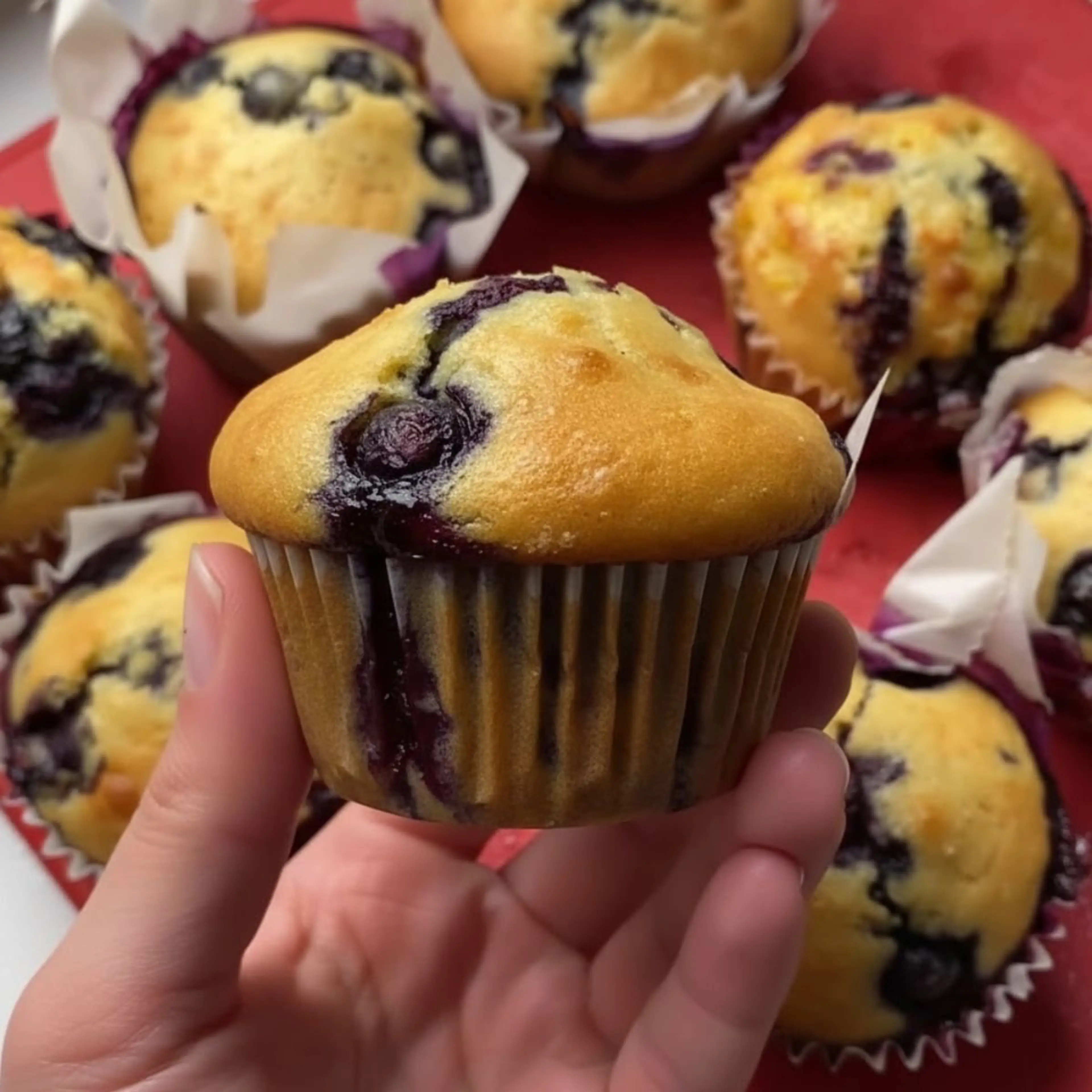 Greek Yogurt Blueberry Muffins