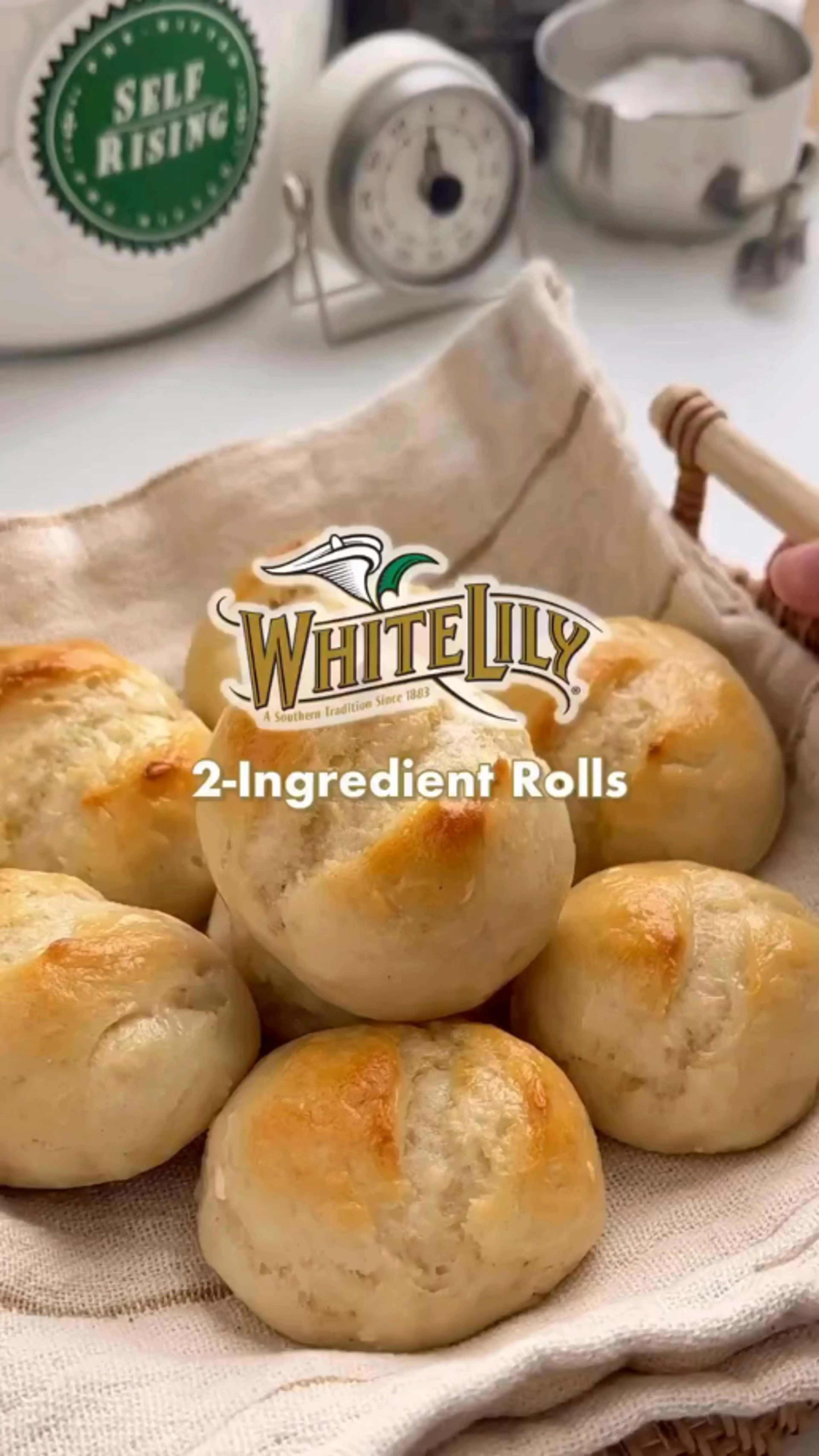 Dinner Rolls