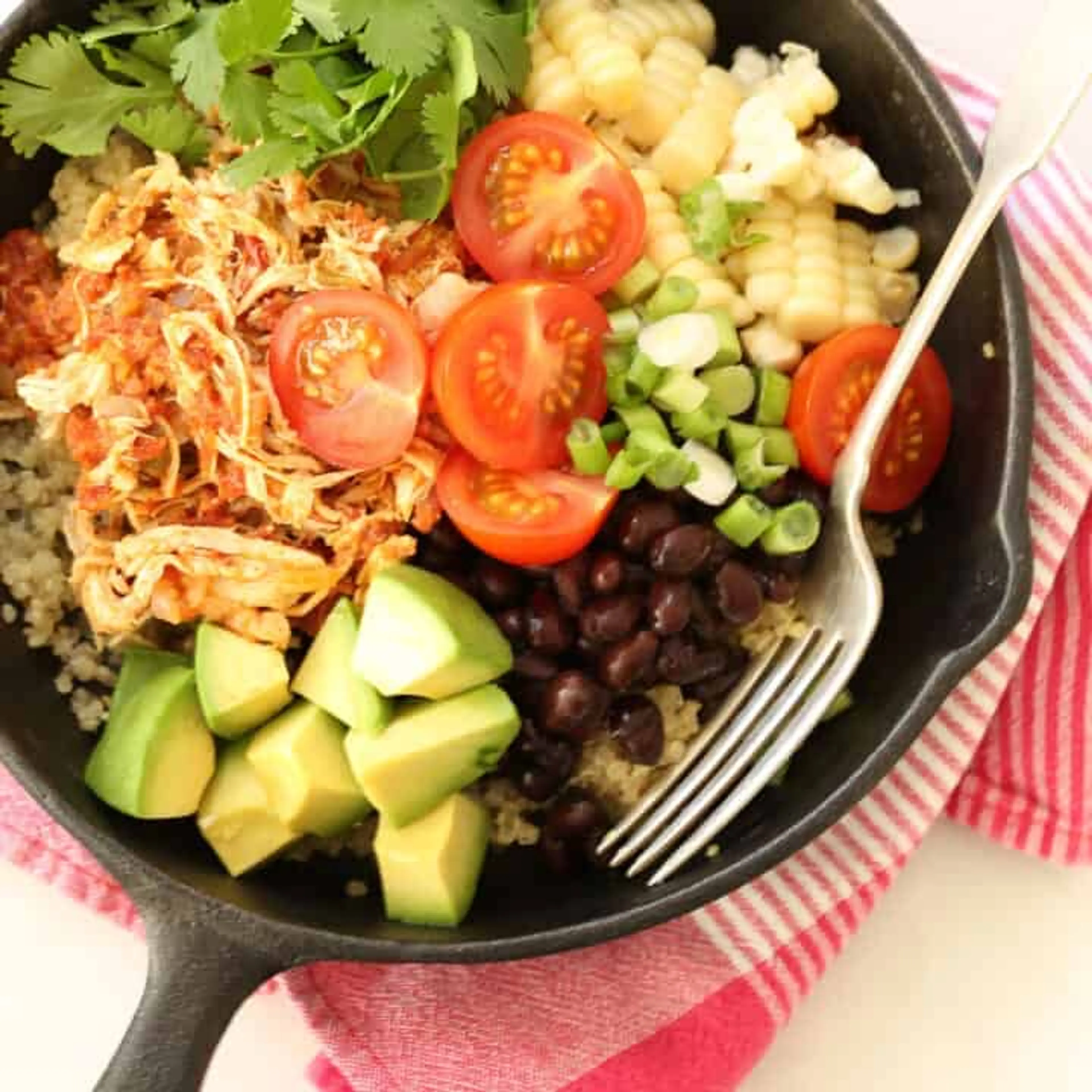 Mexican Style Shredded Chicken